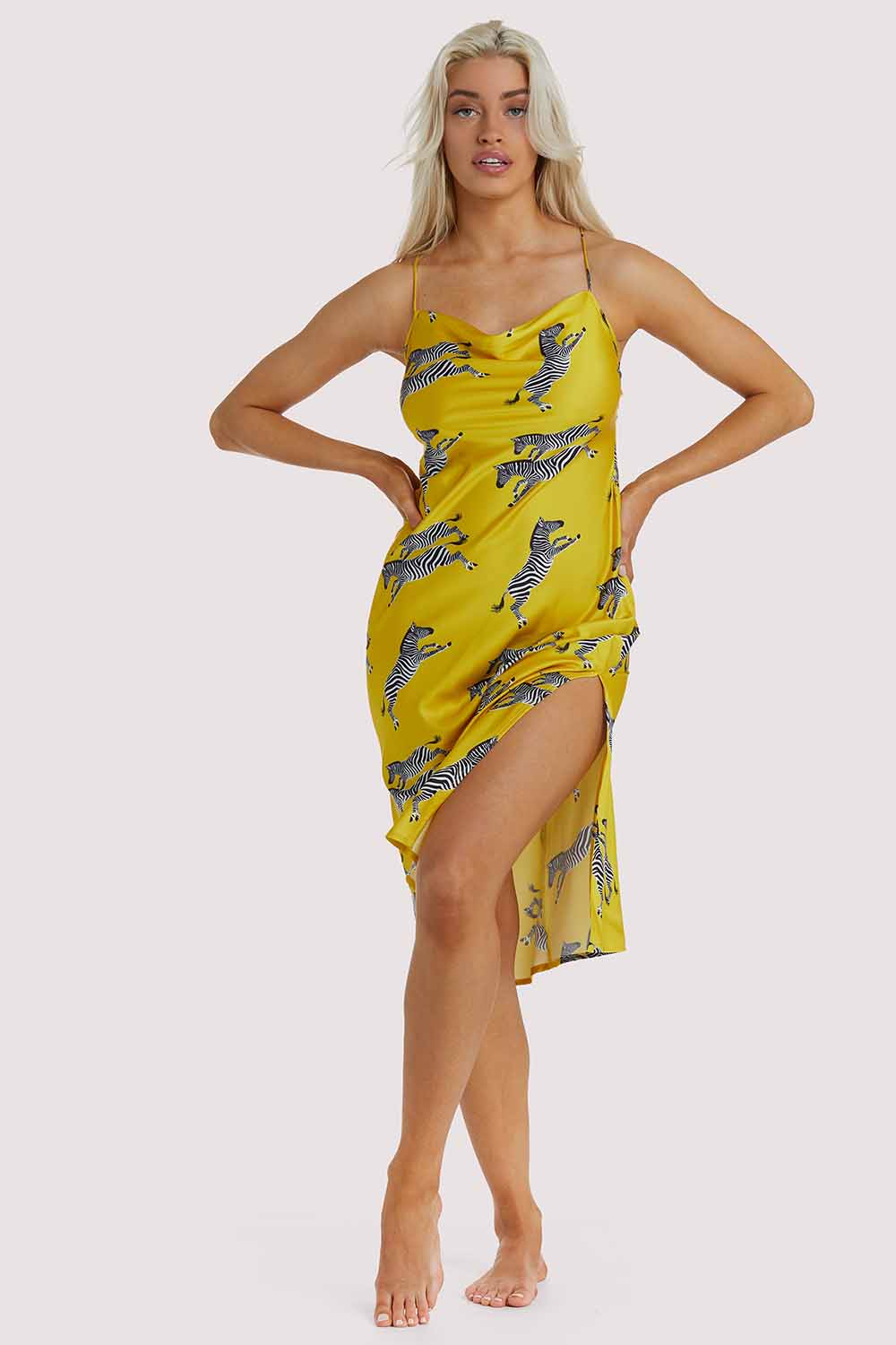 Mustard Zebra Dress - Image 5