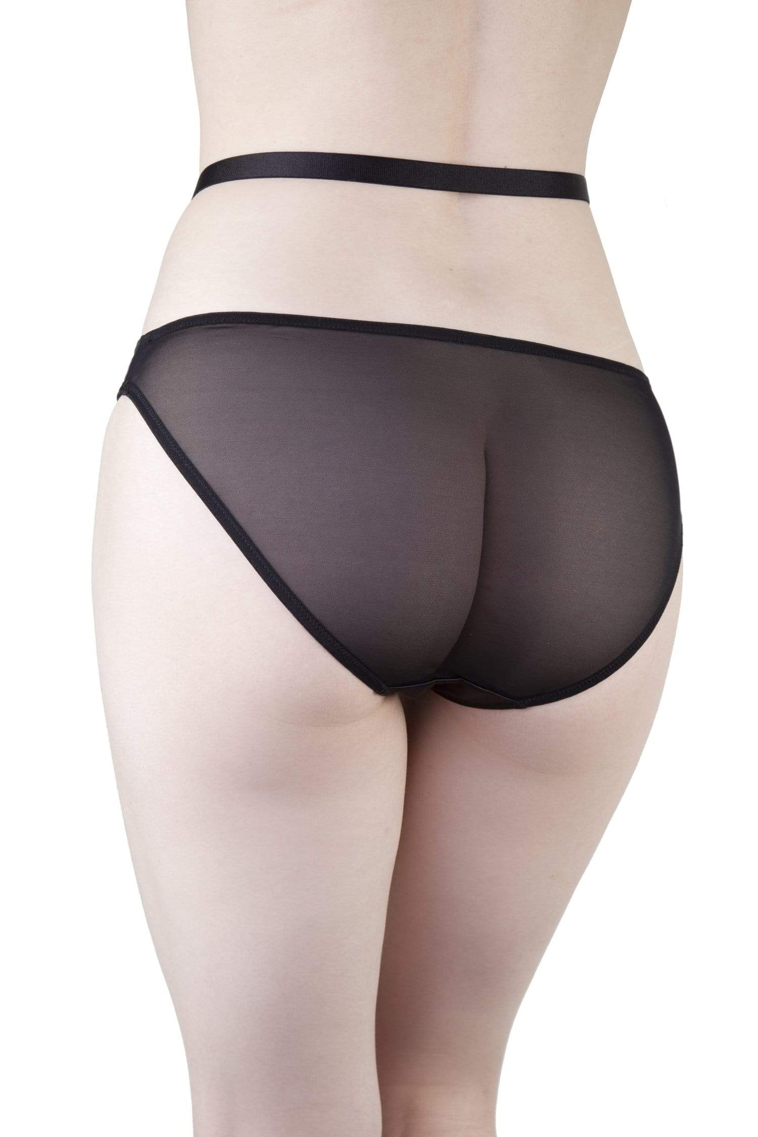 Adira Satin & Mesh Strappy Harness Brief - Image 2
