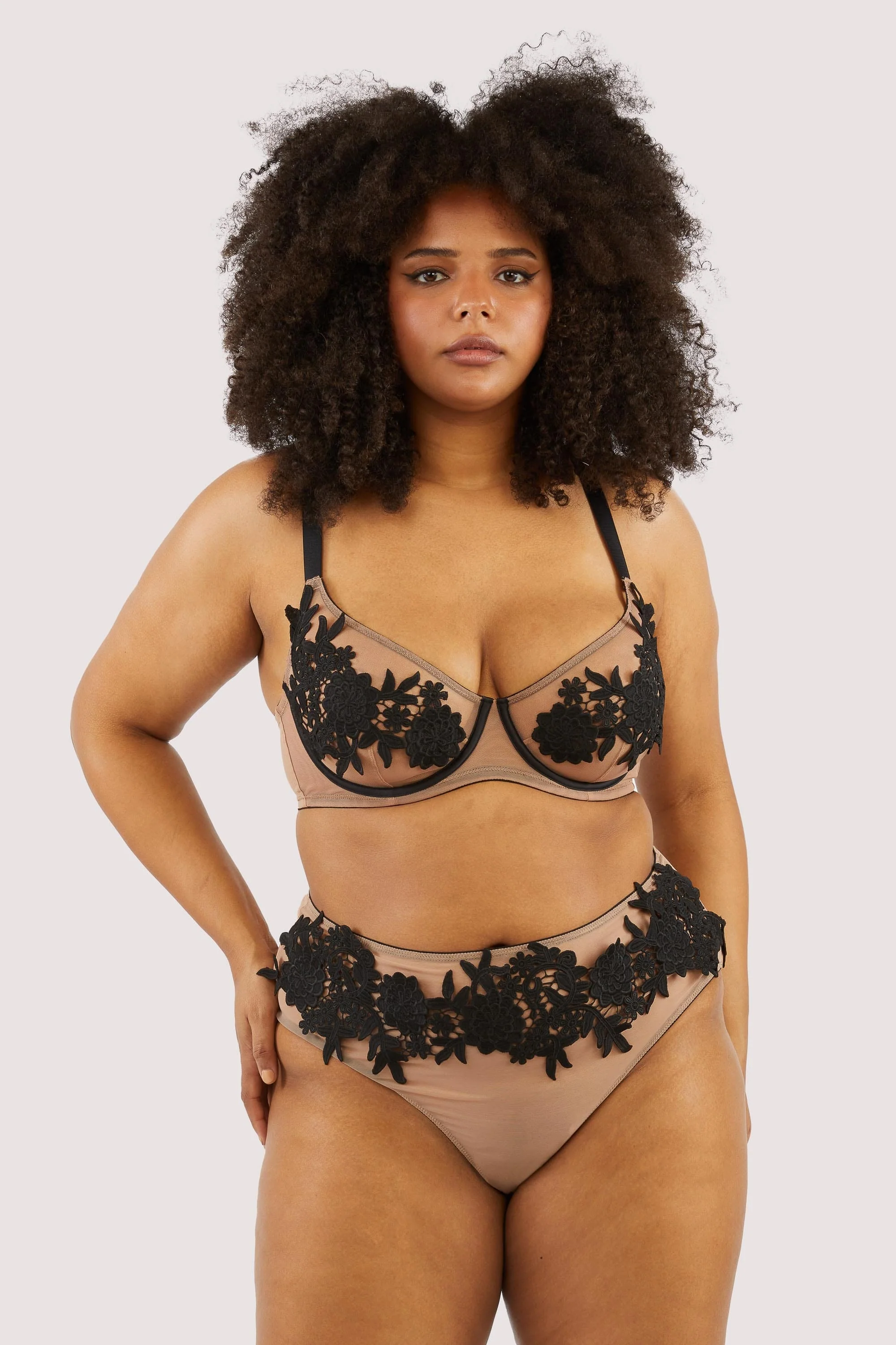 Alaina Illusion Mesh And Black Applique Brief - Image 2