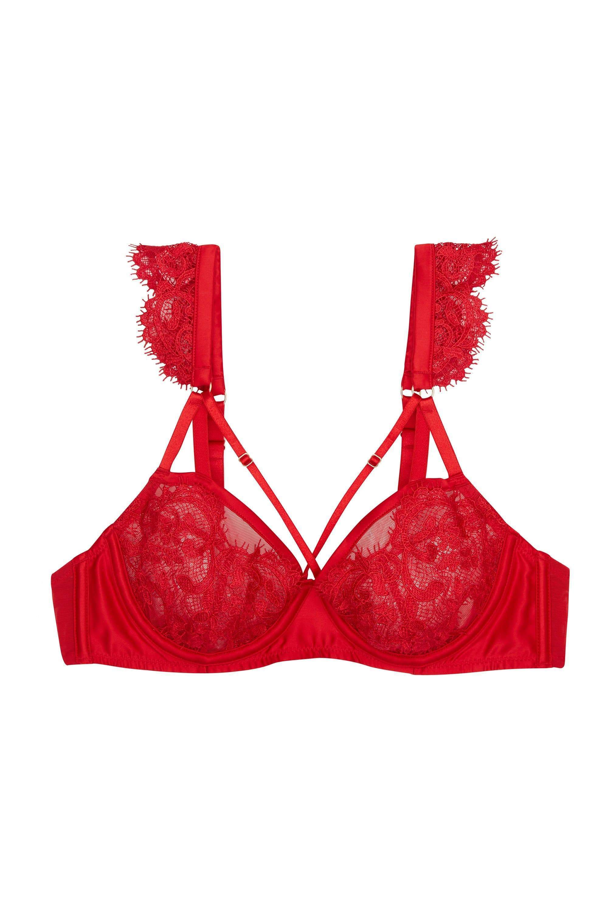 Anneliese Red Satin Net and Lace Bra - Image 5