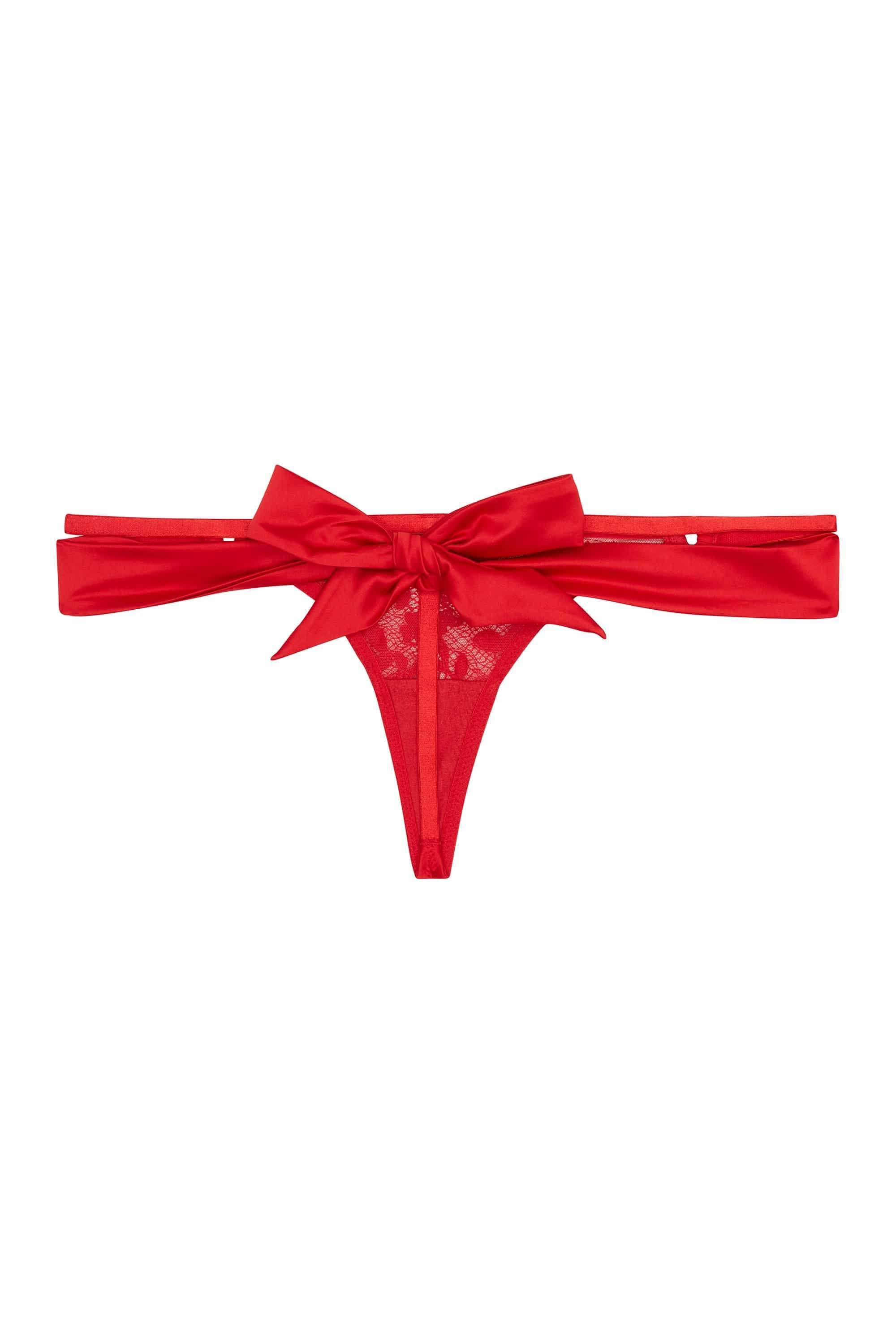 Anneliese Red Satin Net and Lace Thong - Image 2