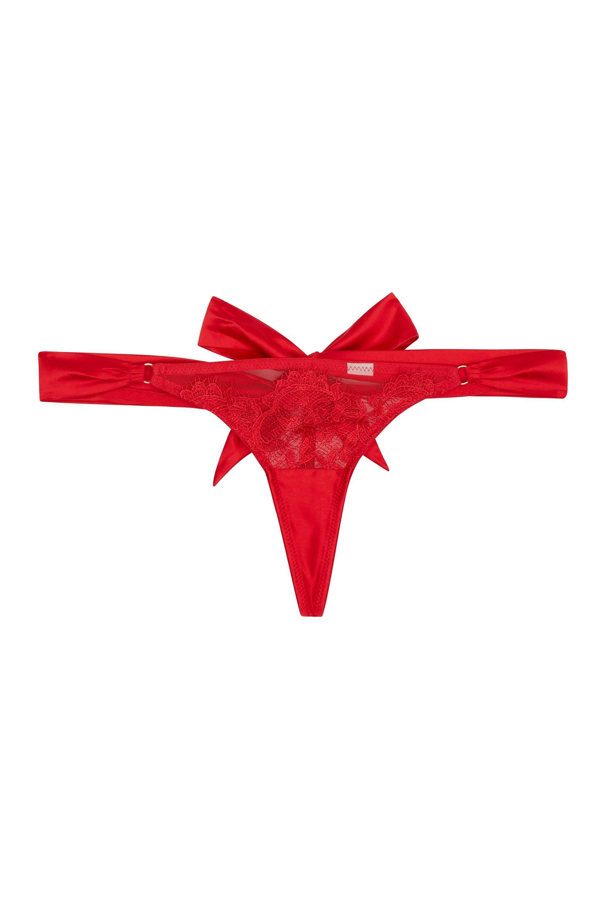 Anneliese Red Satin Net and Lace Thong - Image 6