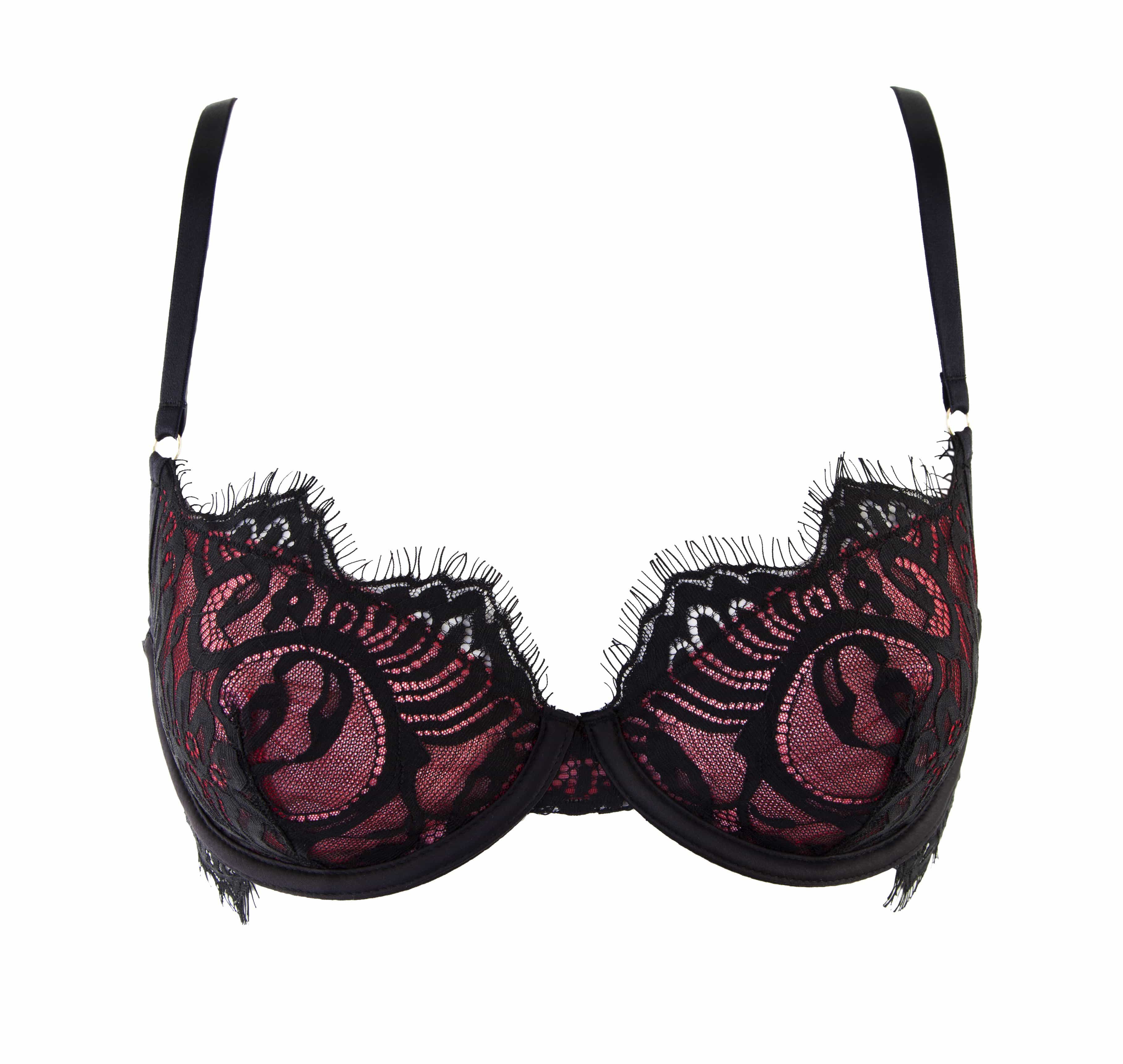 Bailey Red Net/Black Embroidery Lace Bra DD+ Cups - Image 3