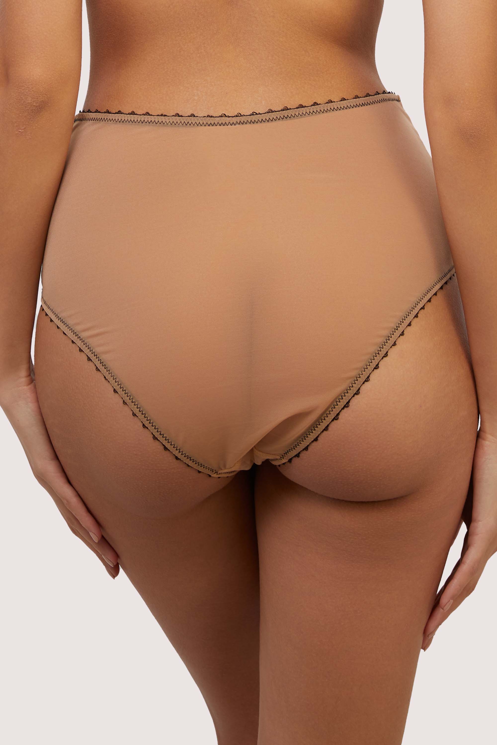 Esme Illusion Net and Fringe High Waisted Brief - Image 2