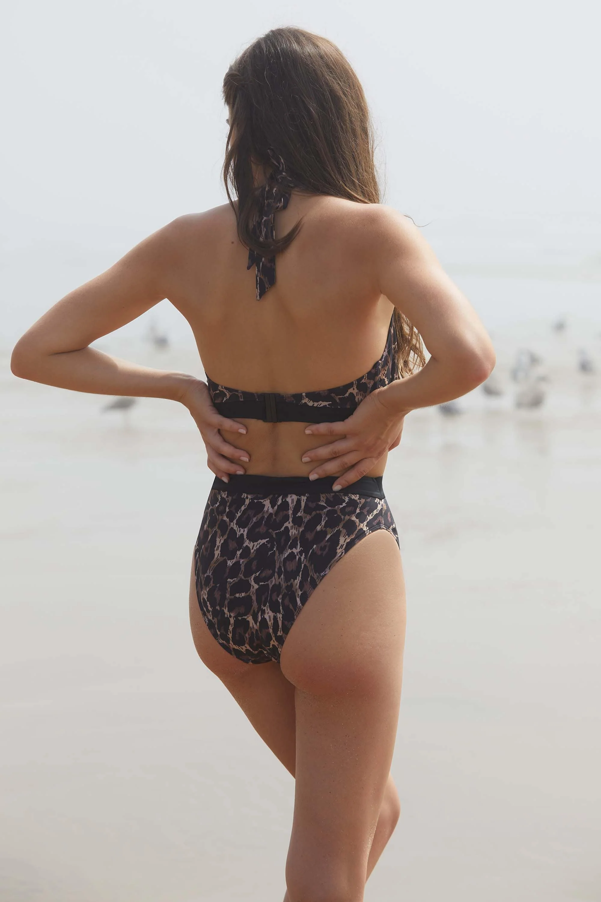 Eco Leopard Jayne Bikini Brief - Image 6