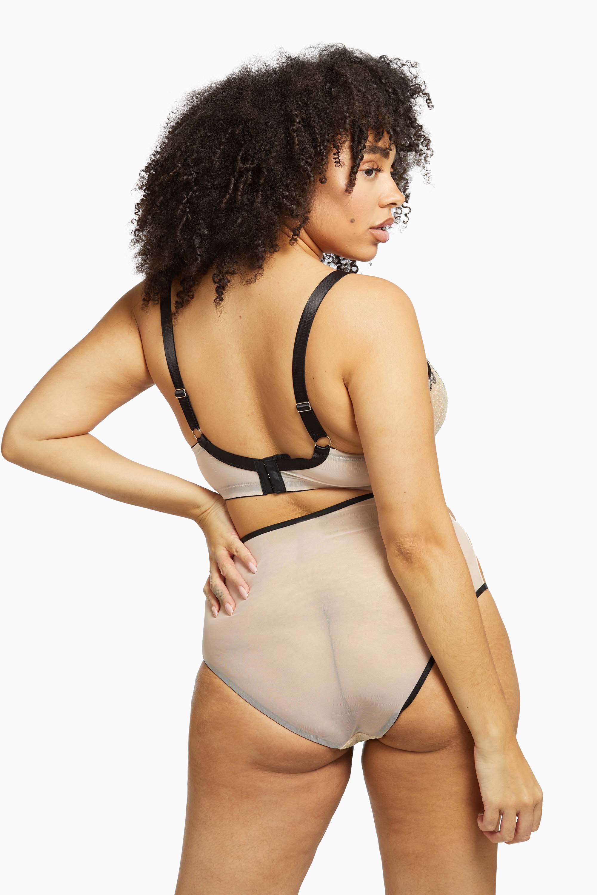 Dakota Snake High Waist Brief - Image 10