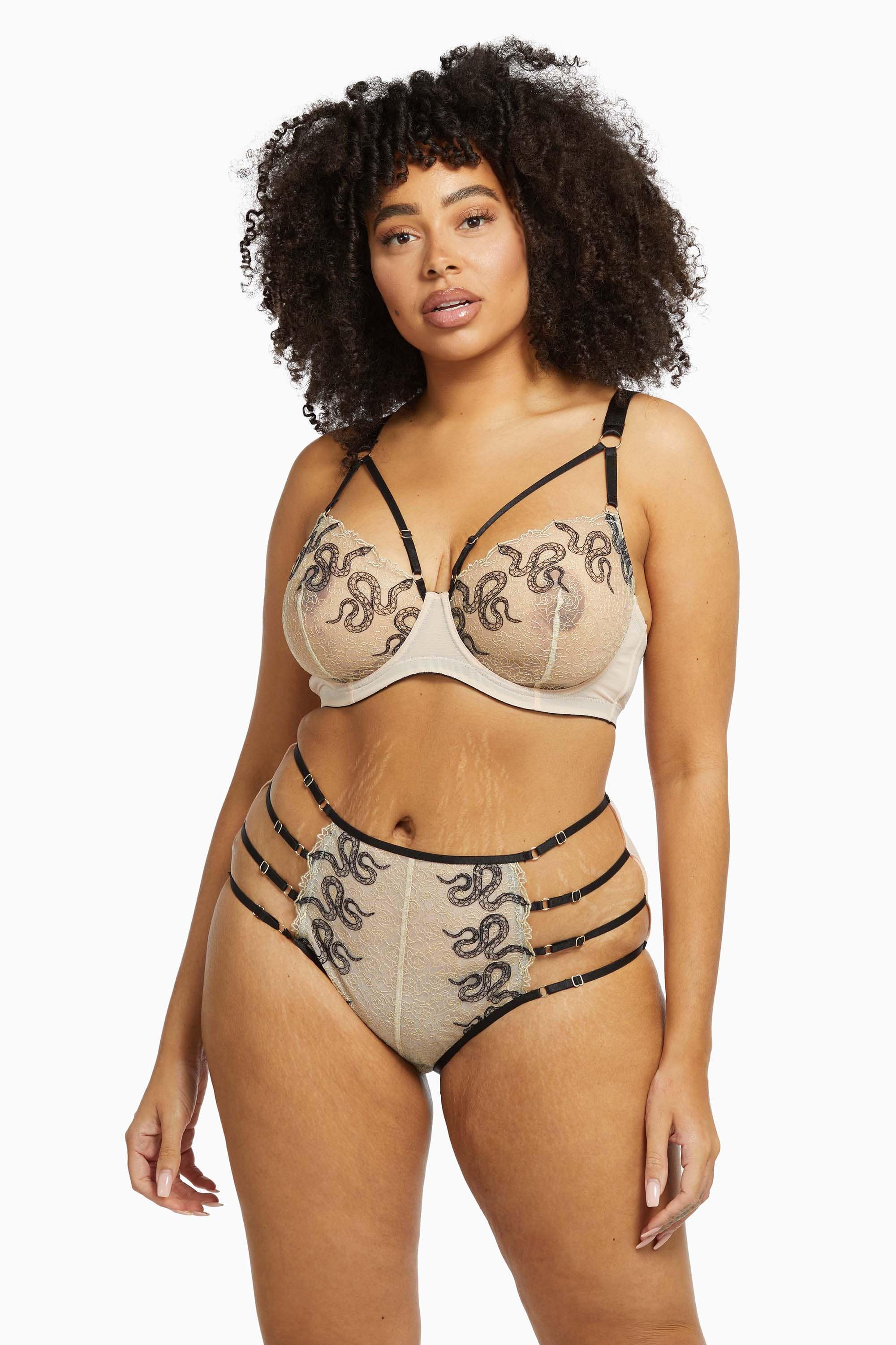 Dakota Snake High Waist Brief - Image 8
