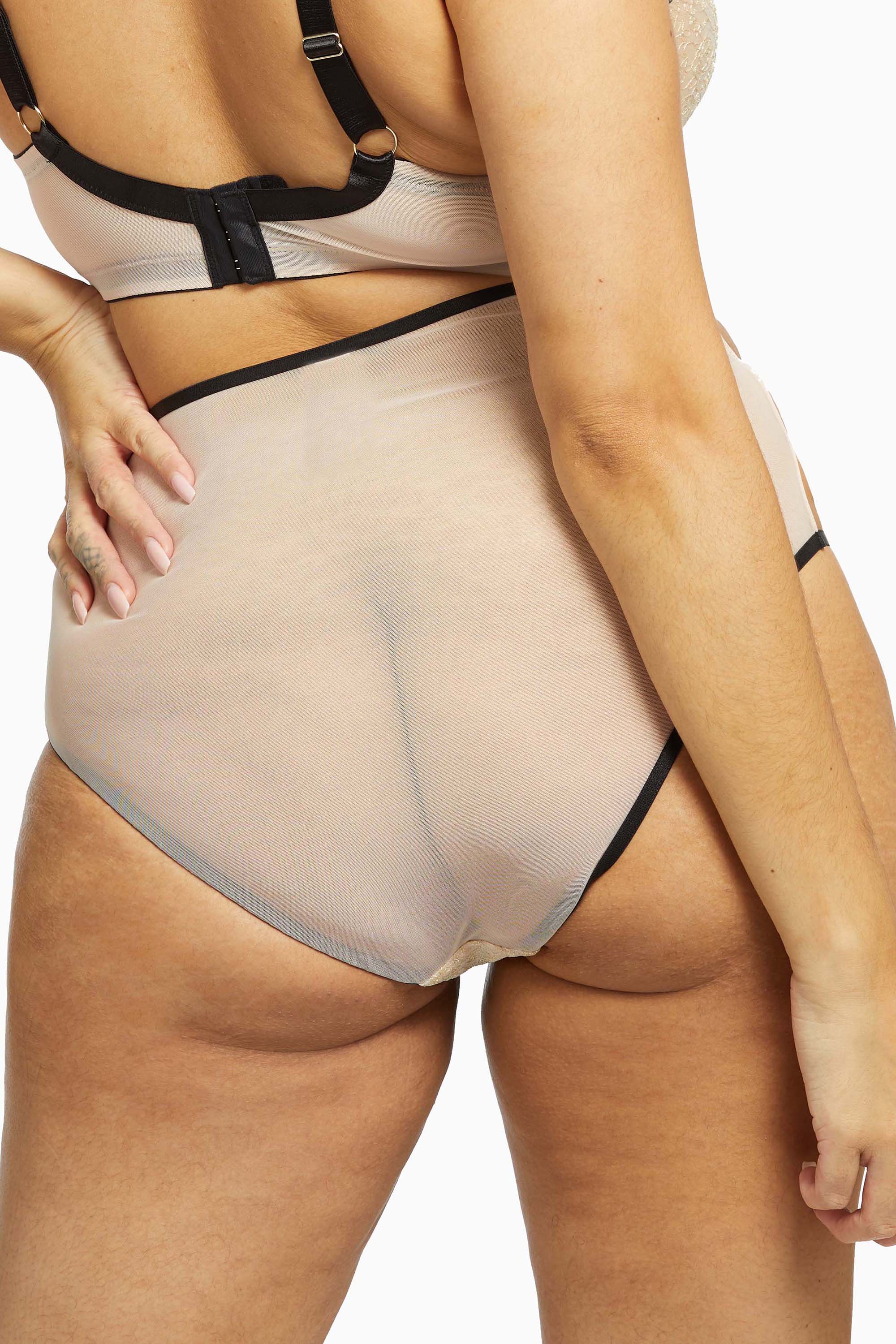 Dakota Snake High Waist Brief - Image 9