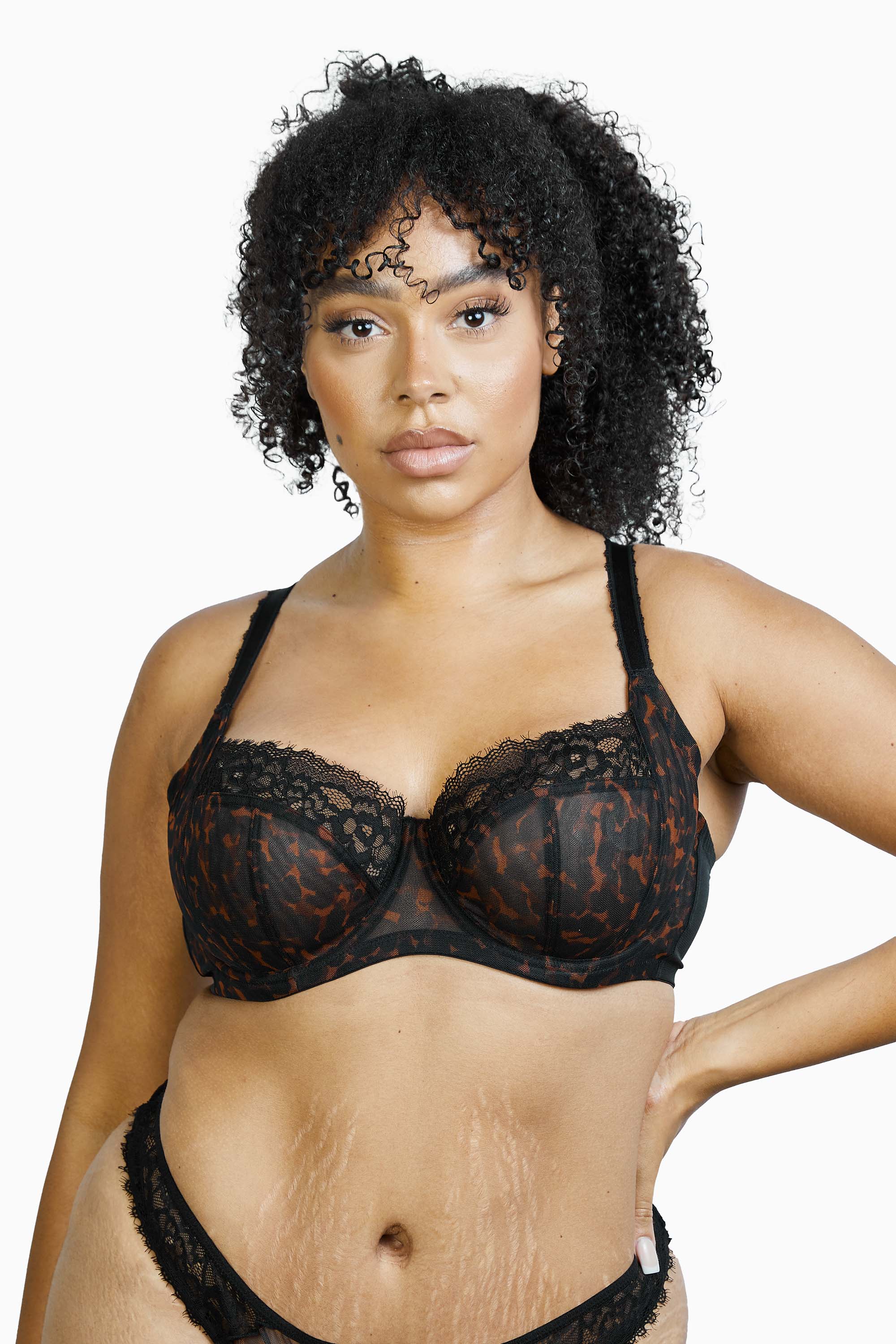 Rosalyn Black Tortoise Shell Lace Full Cup Bra - Image 5