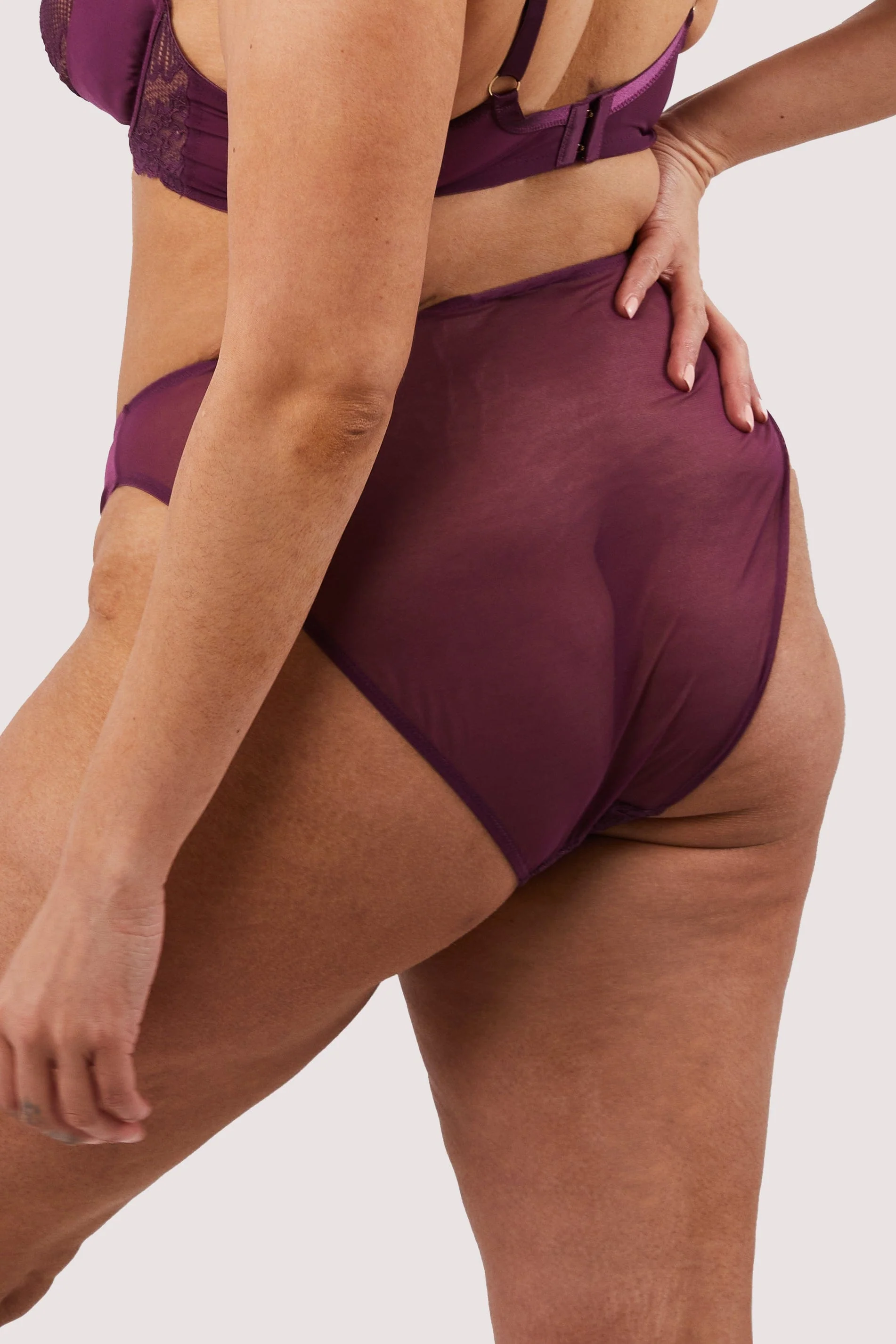 Astrid Merlot Lace And Trim Brief - Image 5