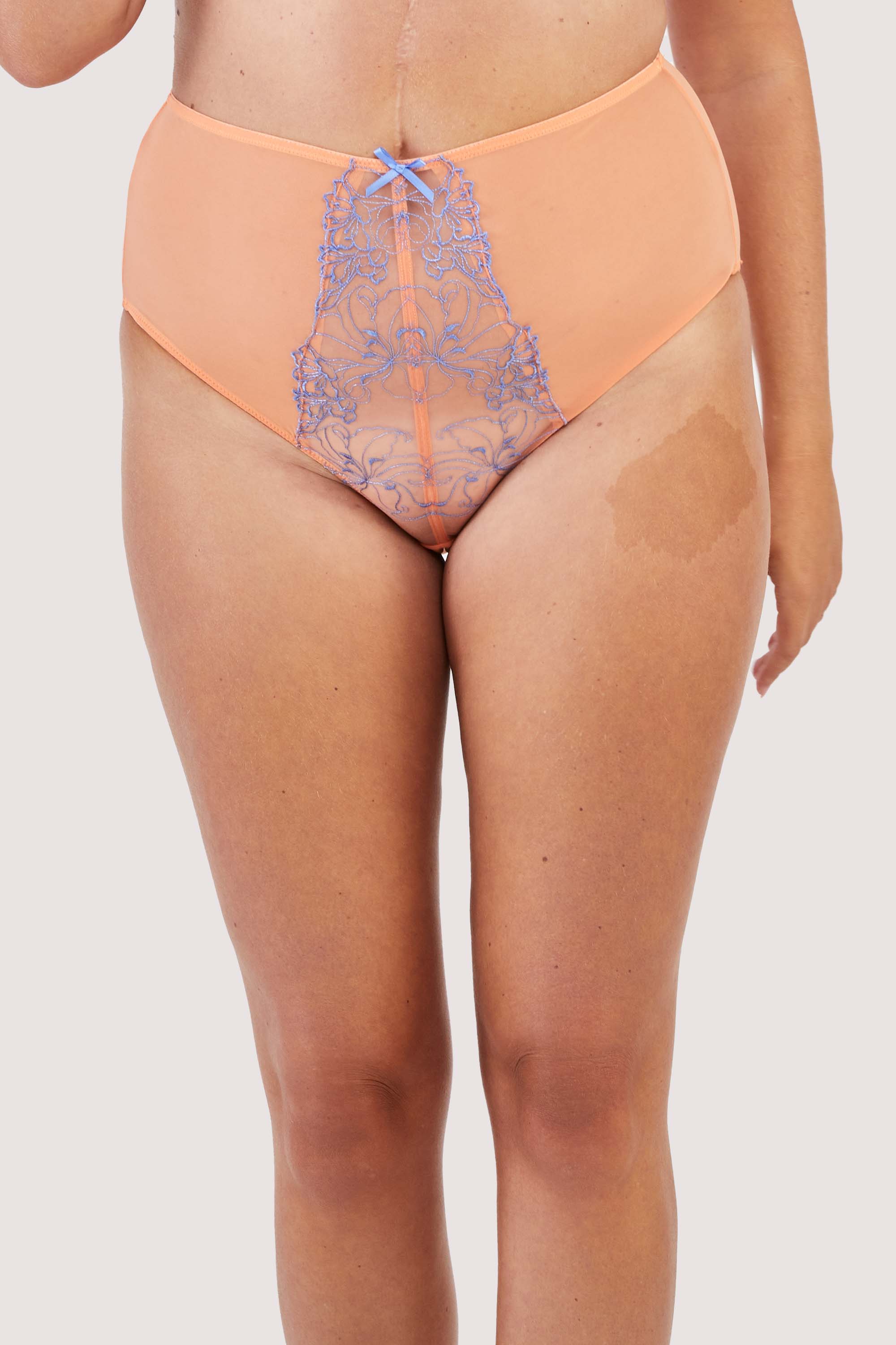 Palm Bay Coral Embroidery High Waist Brief - Image 5