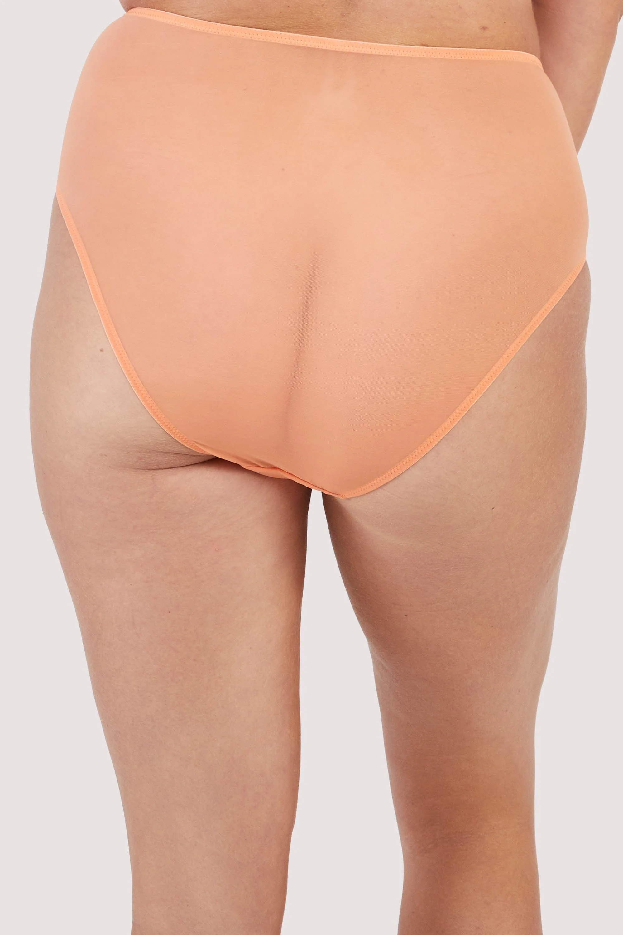 Palm Bay Coral Embroidery High Waist Brief - Image 6