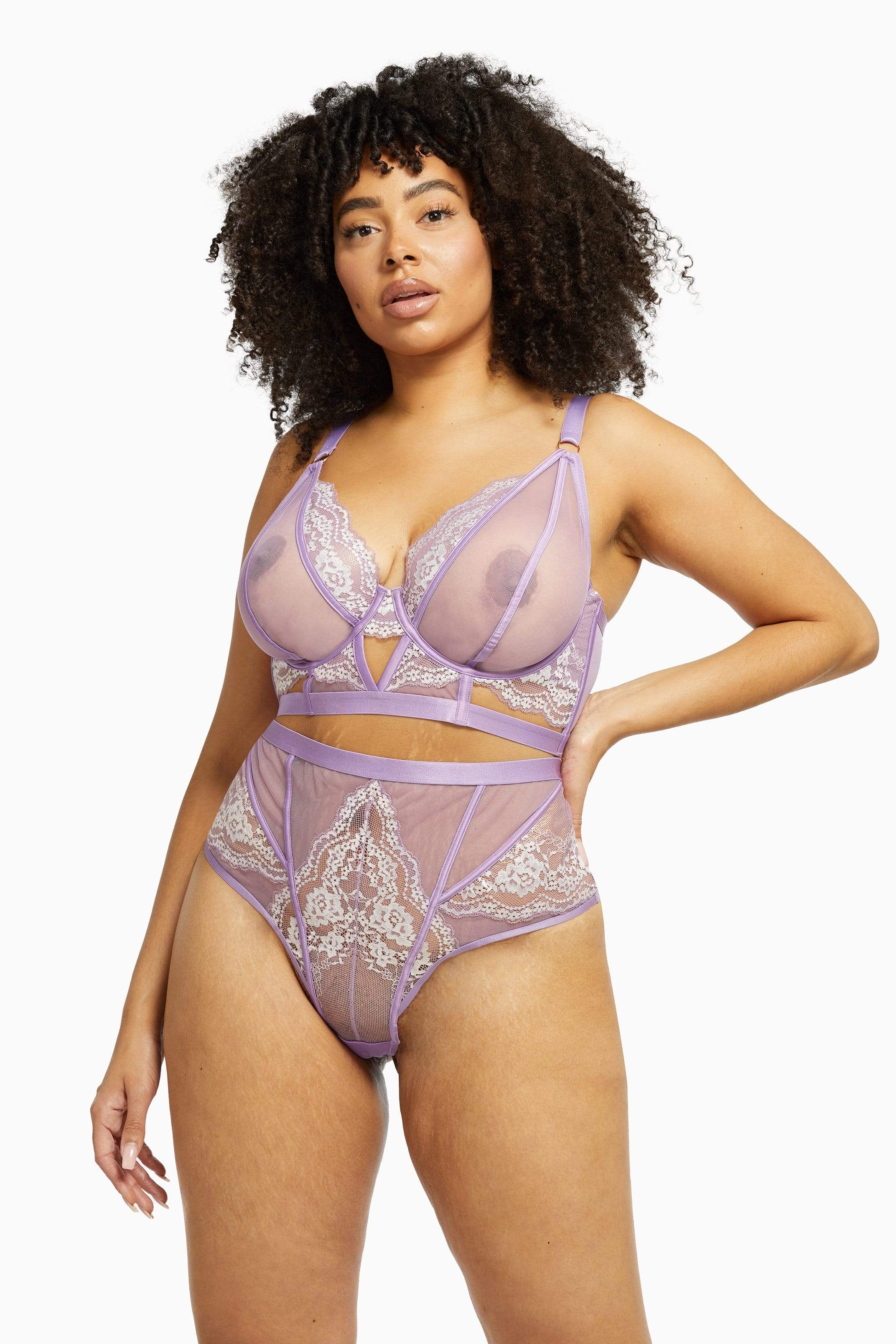 Fenella Lace and Net High Waist Brief - Image 5