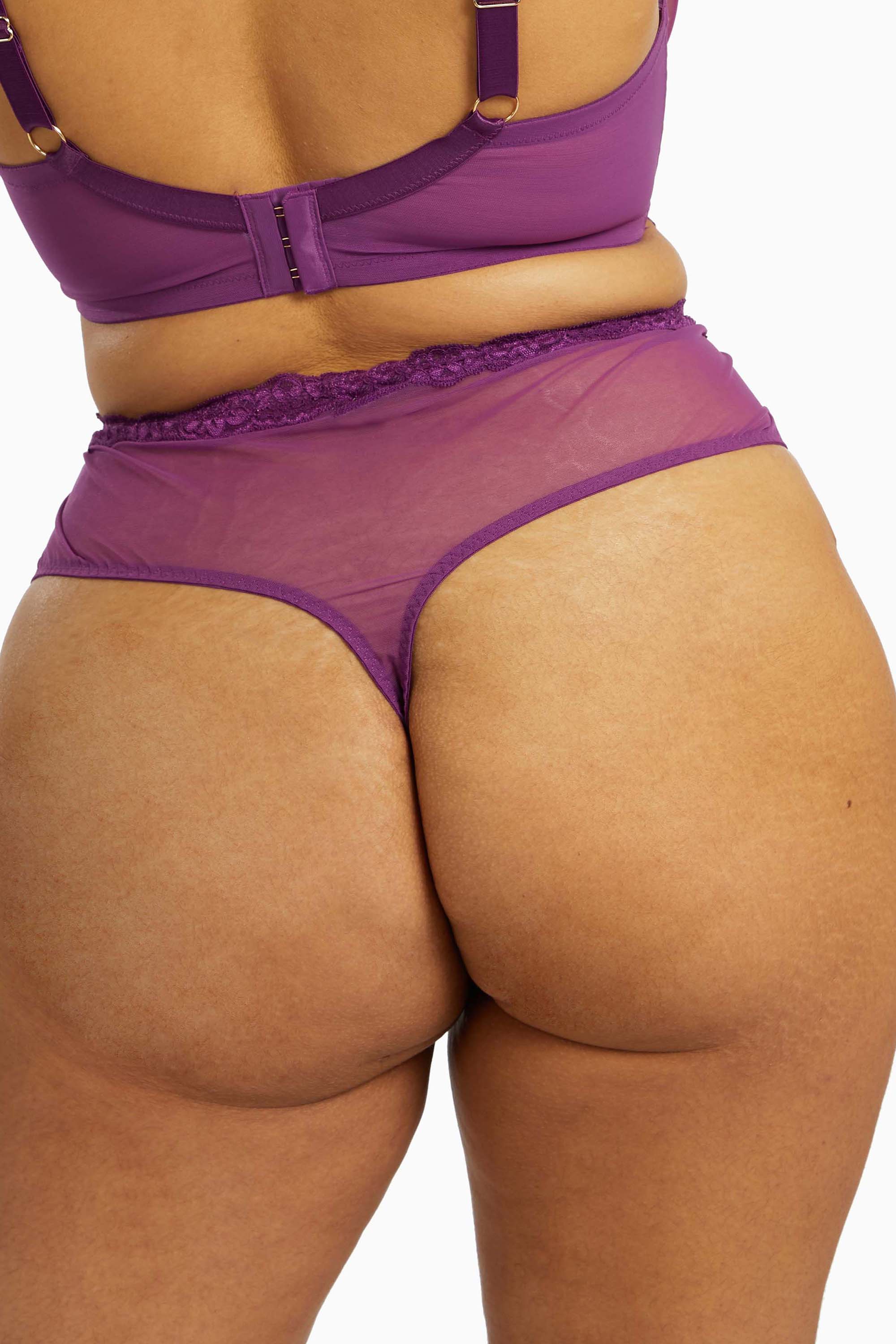 Gabi Fresh Aria Lace Panelled High Waist Brief - Image 5
