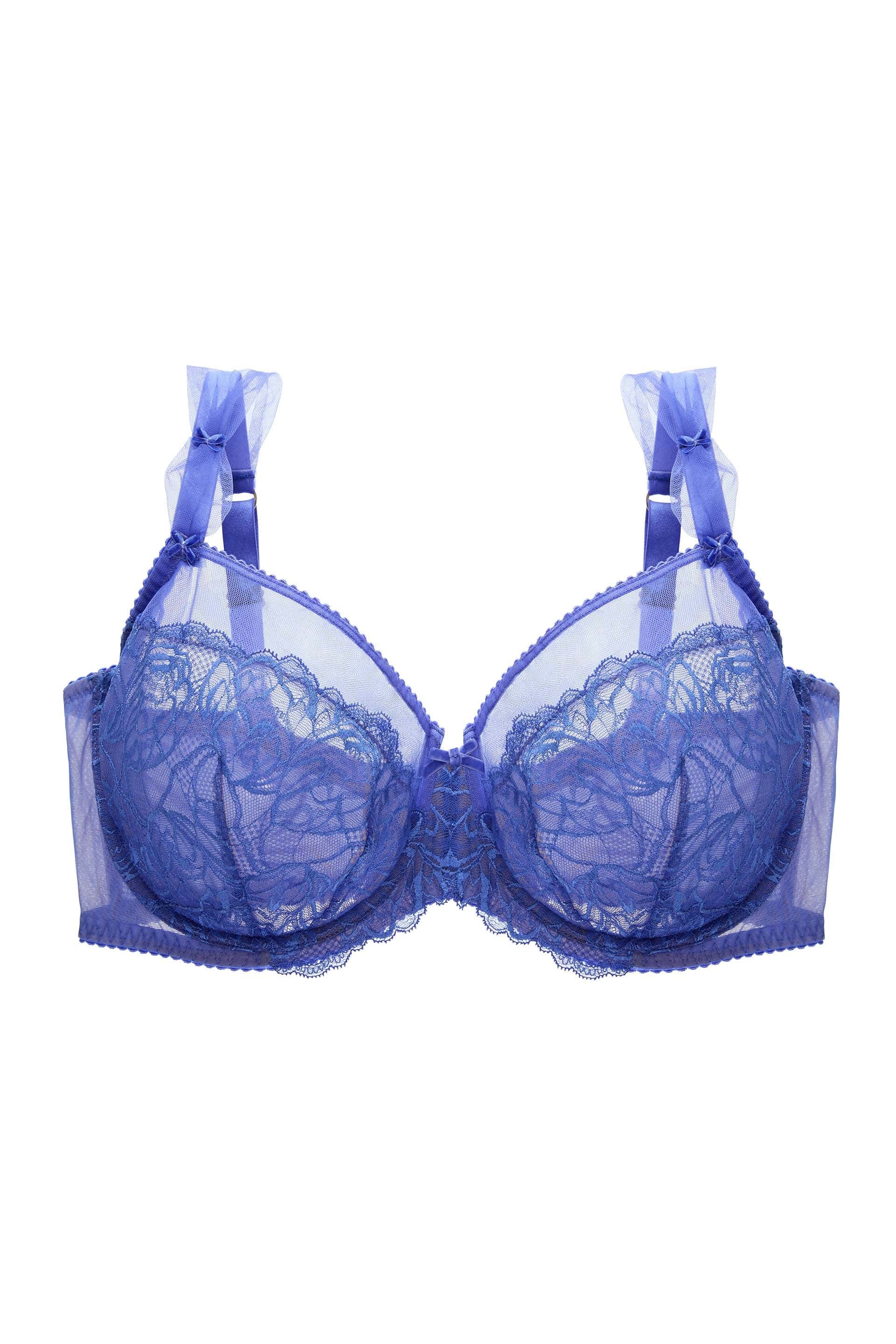Gwendolline Blue Lace Underwire Curve Bra - Image 5