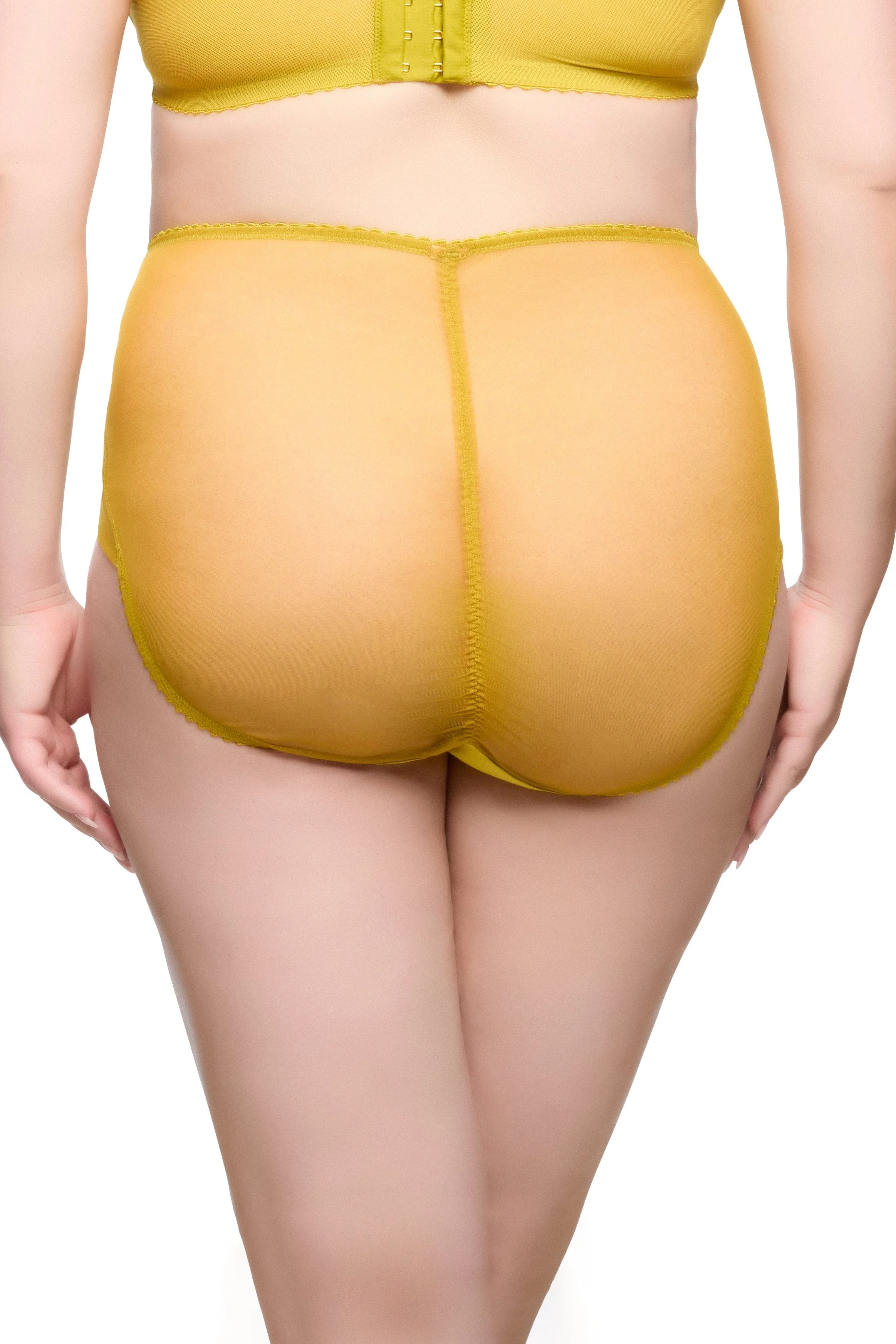 Julies' Roses Chartreuse High Waist Curve Brief - Image 2