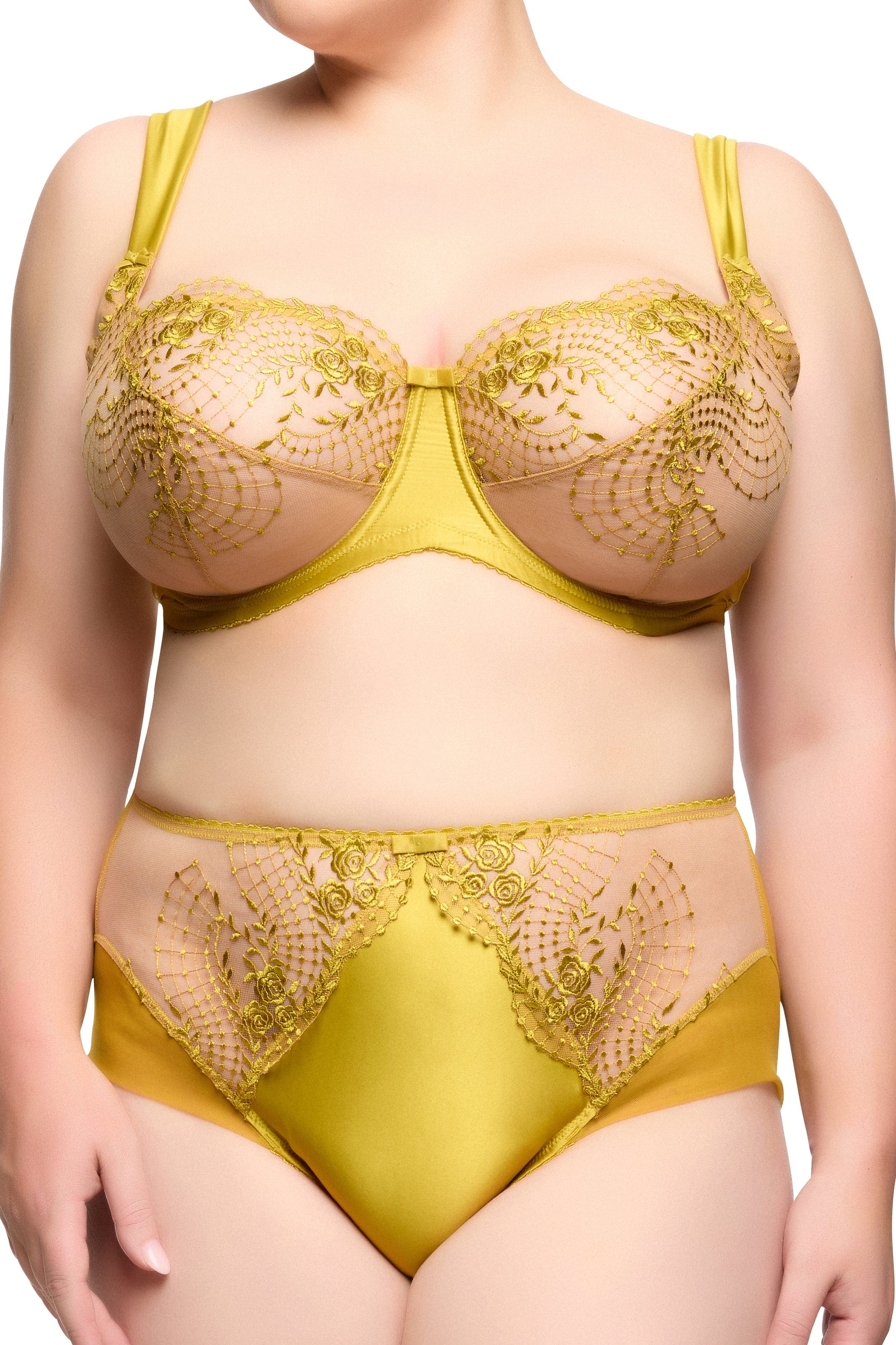 Julies' Roses Chartreuse High Waist Curve Brief - Image 4