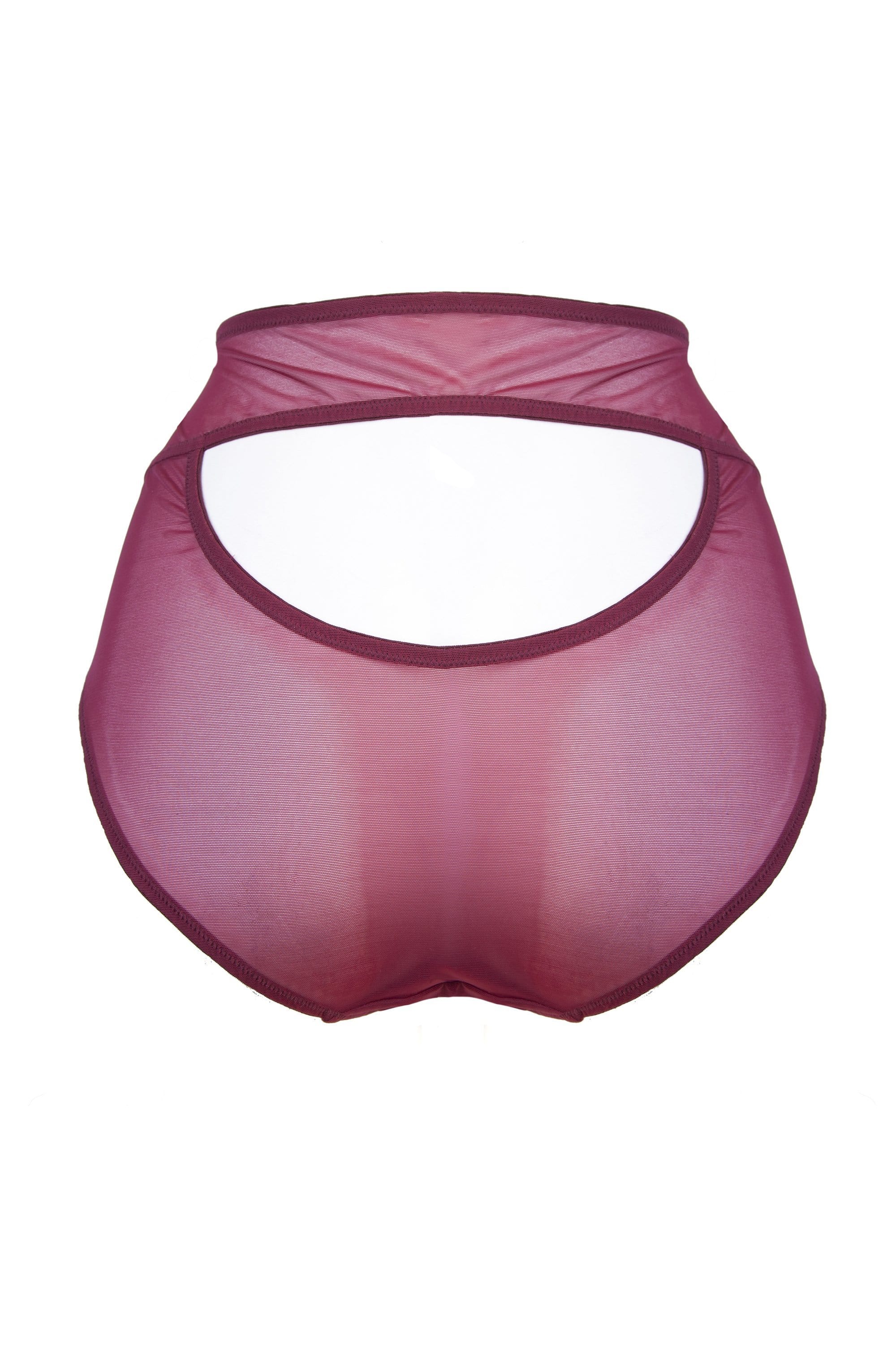 Juliet Wine High Waist Brief Curve - Image 2
