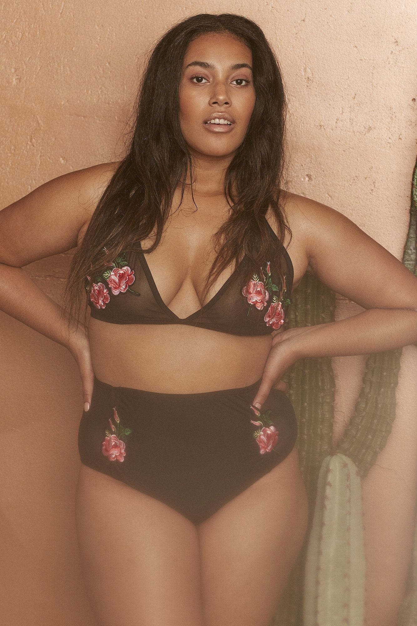 Wolf & Whistle Tayla Mesh Applique High Waist Brief Curve - Image 2