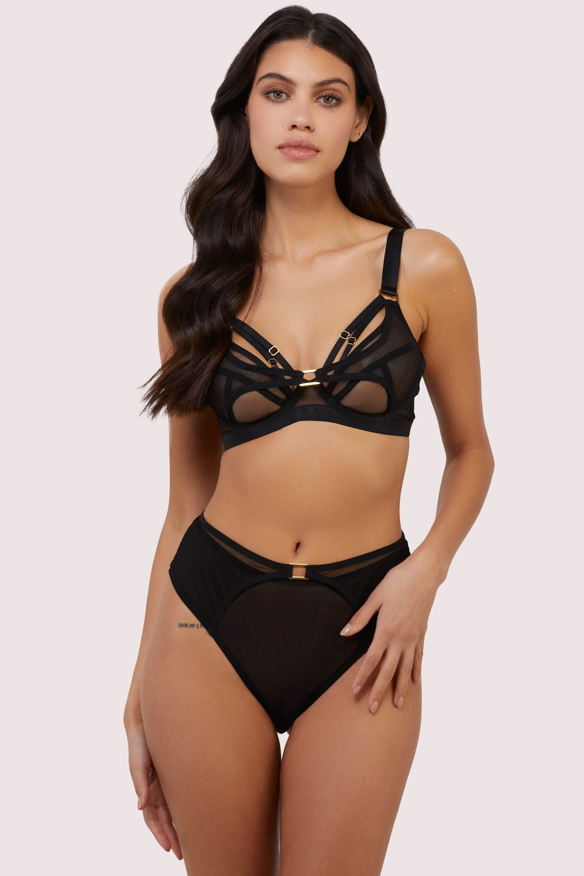 Holland Fishnet and Mesh High Waisted Brief - Image 4