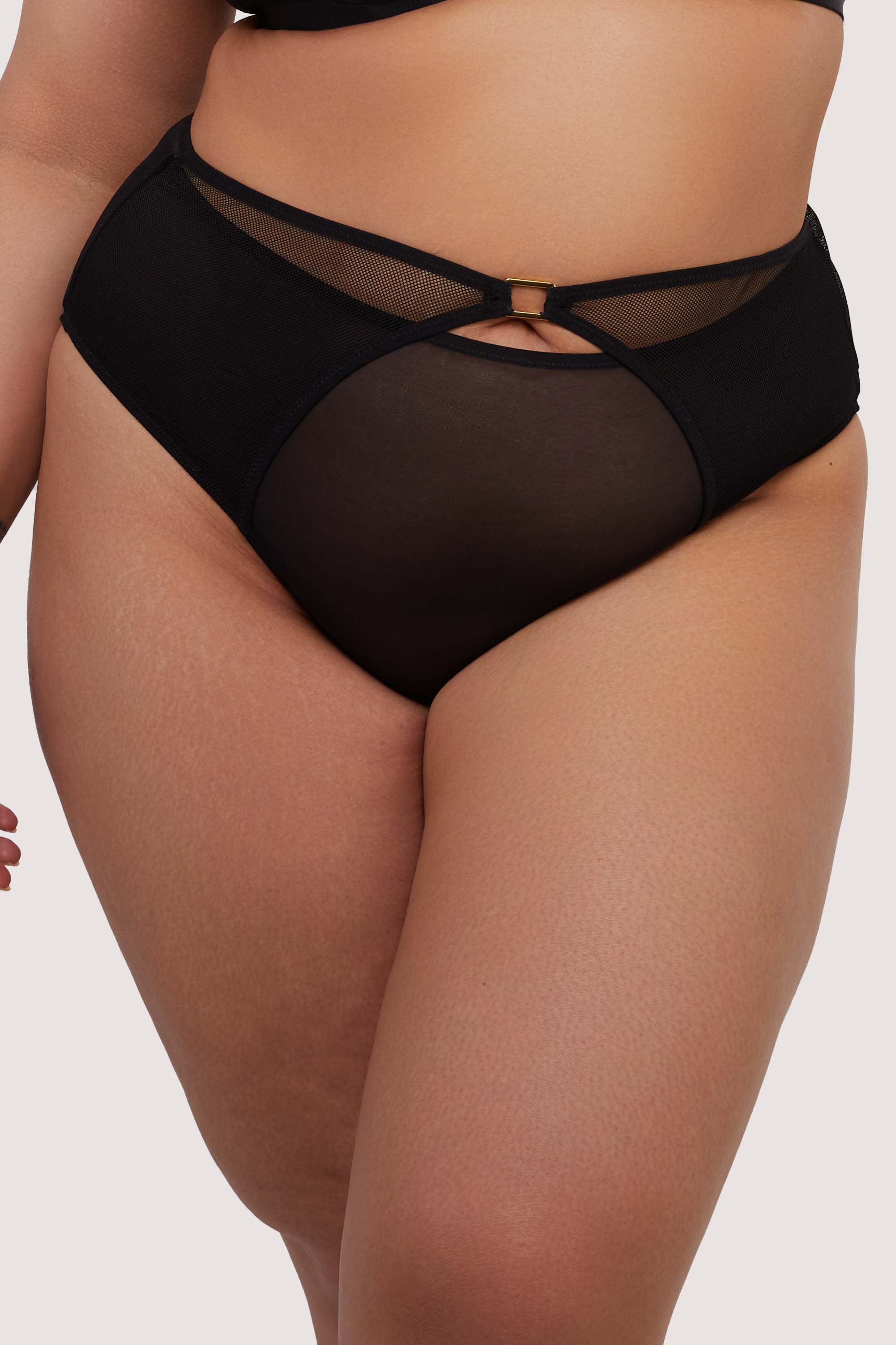 Holland Fishnet and Mesh High Waisted Brief - Image 5
