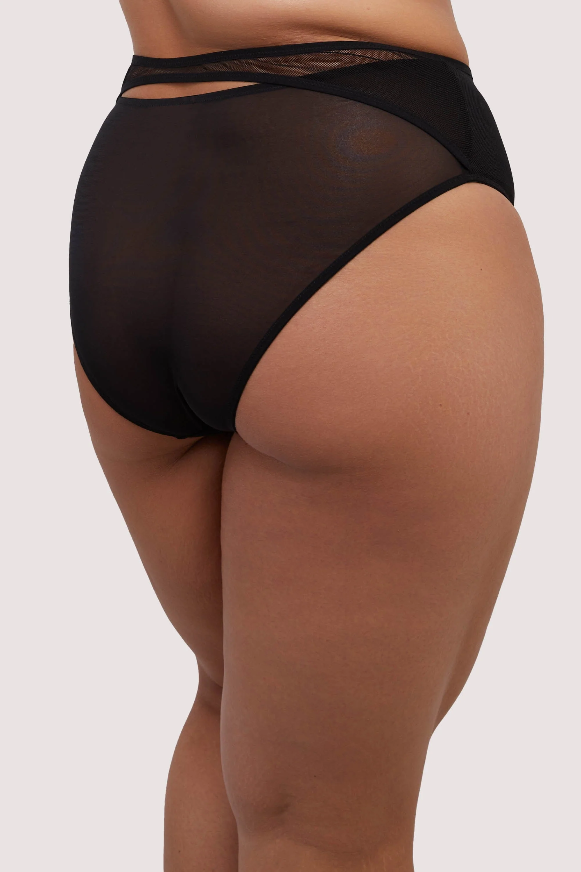 Holland Fishnet and Mesh High Waisted Brief - Image 6