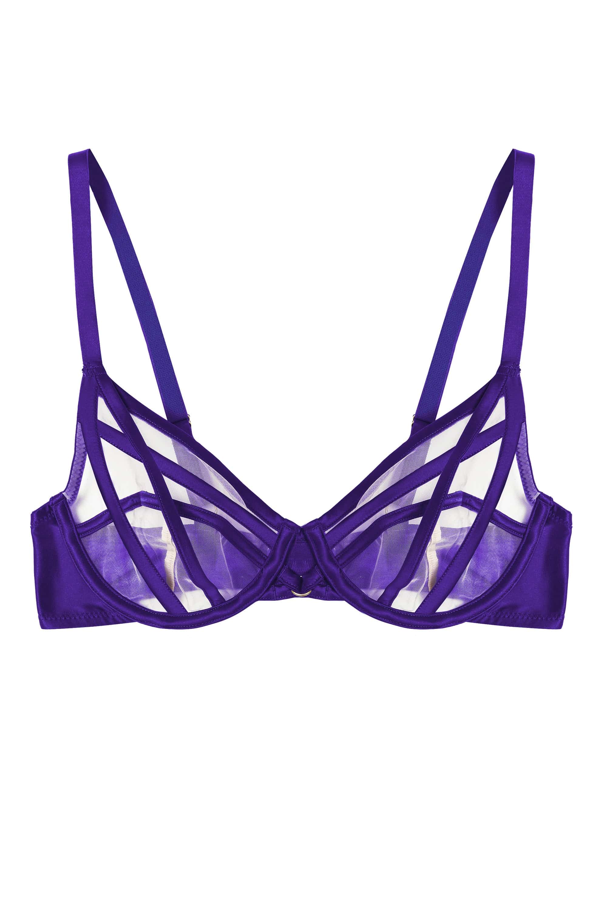 Ramona Purple Strap Detail Illusion Mesh Plunge Bra - Image 5