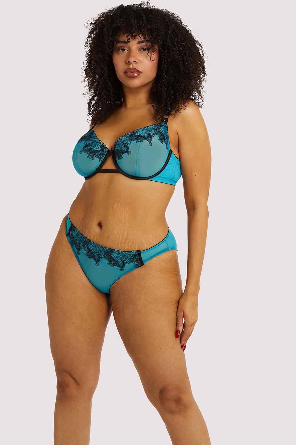 Playful Promises Tiger Blue Hipster Brief - Image 7