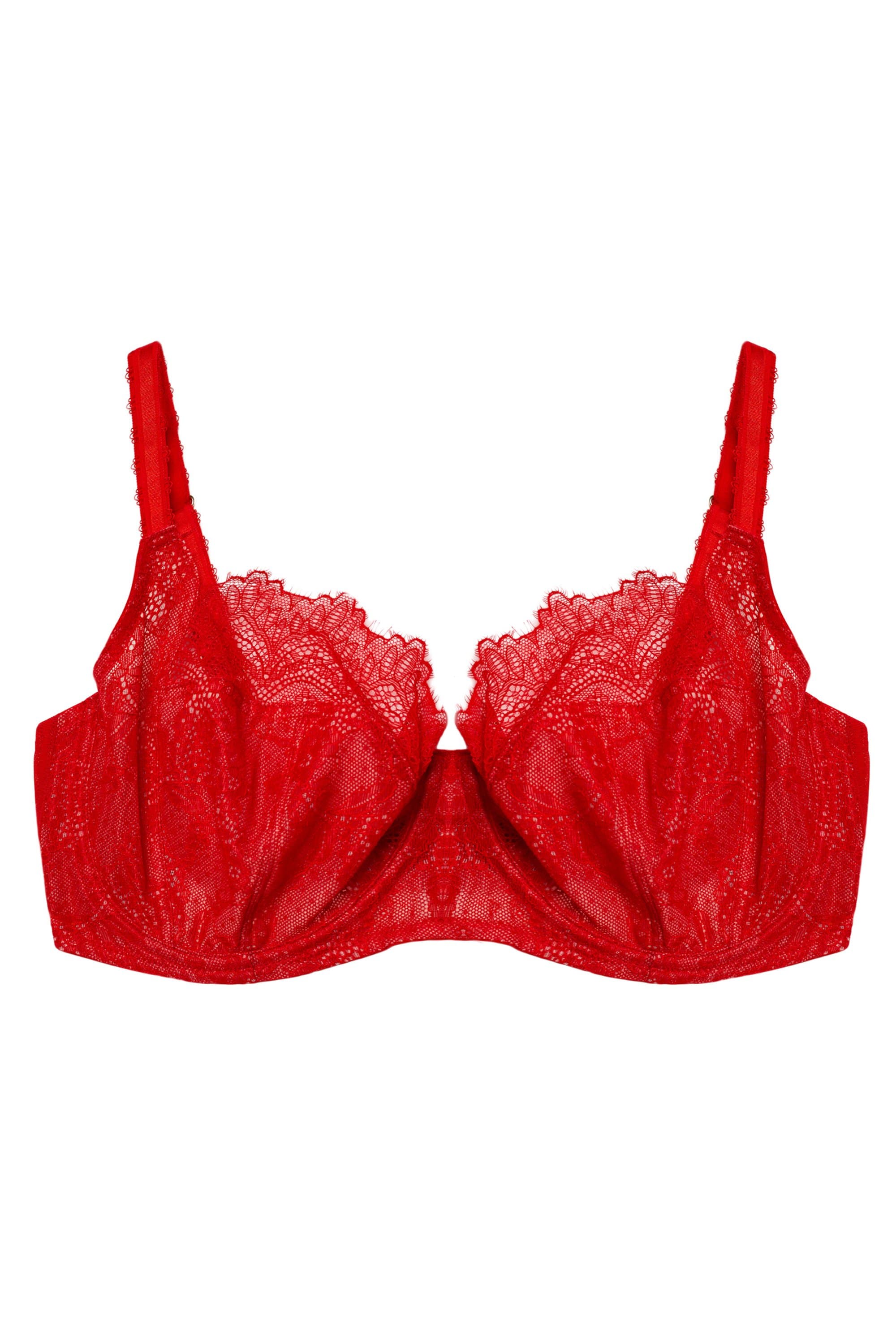 Rosalyn Red Balcony Bra - Image 16