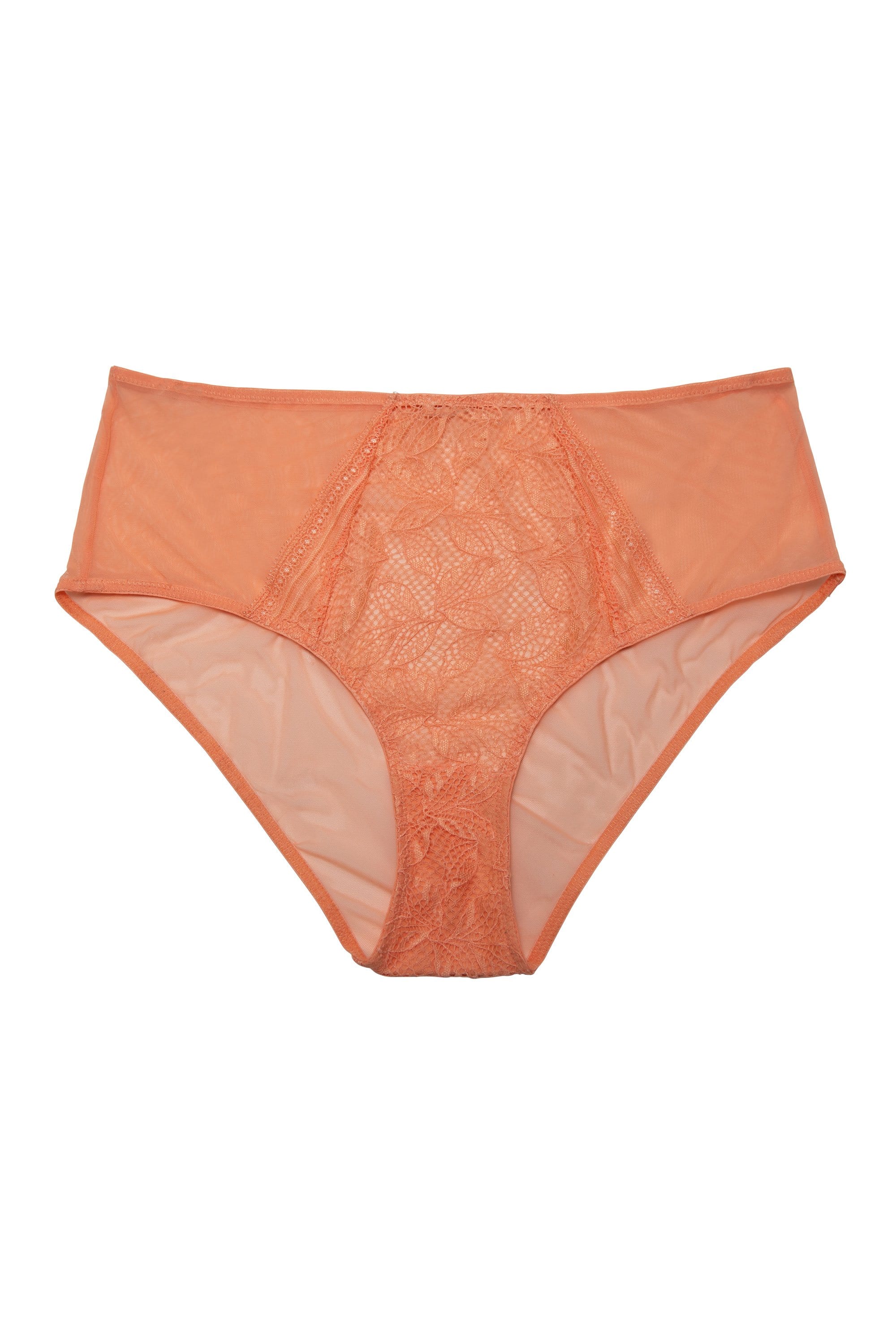 Emma Coral High Waist Brief - Image 4