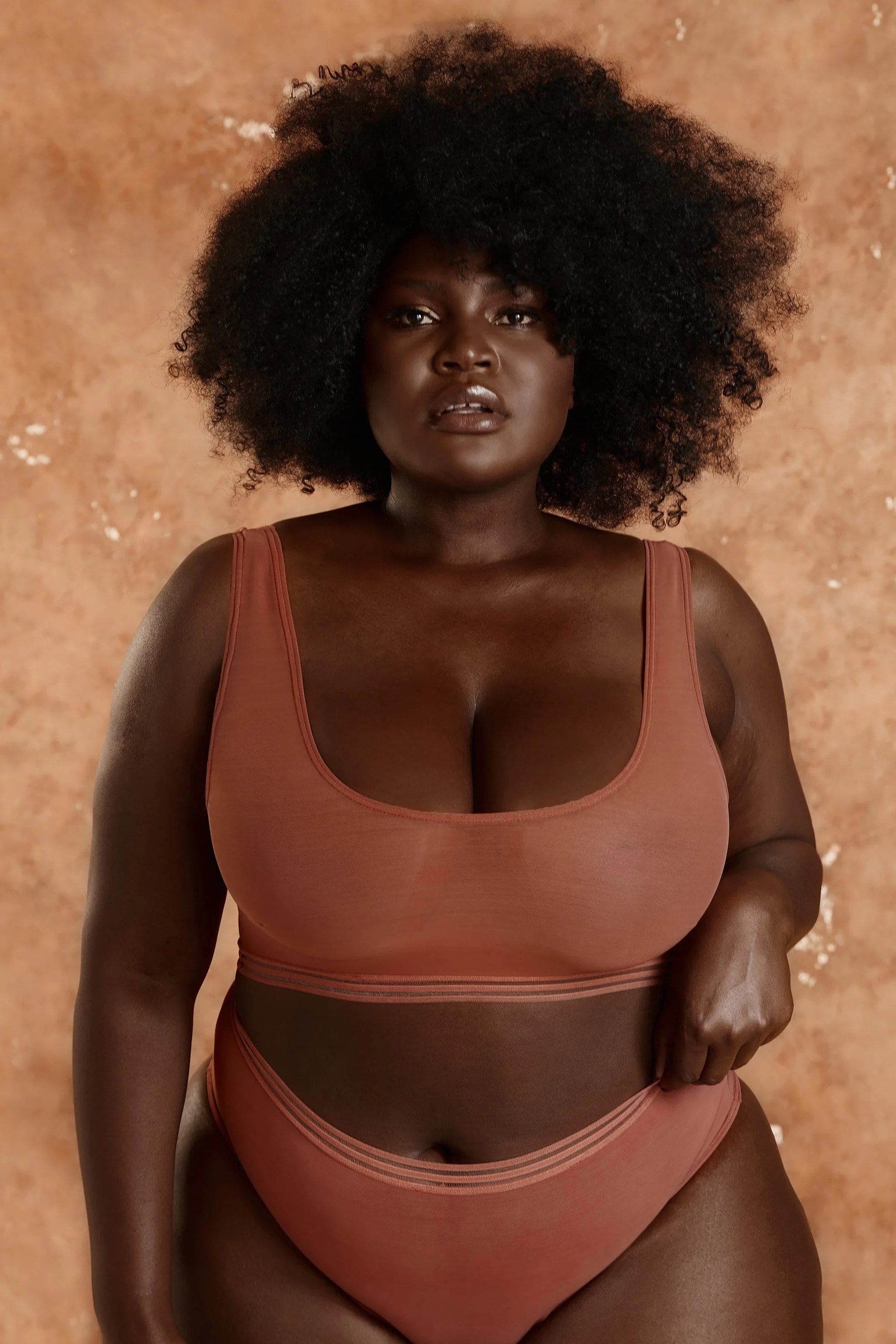 Chelsea Cinnamon Mesh Crop Top - Image 2