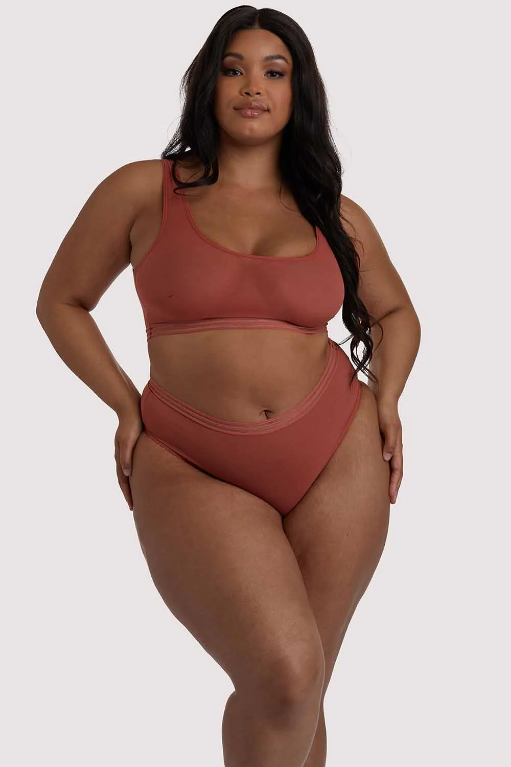Chelsea Cinnamon Mesh Highwaist Brief - Image 4
