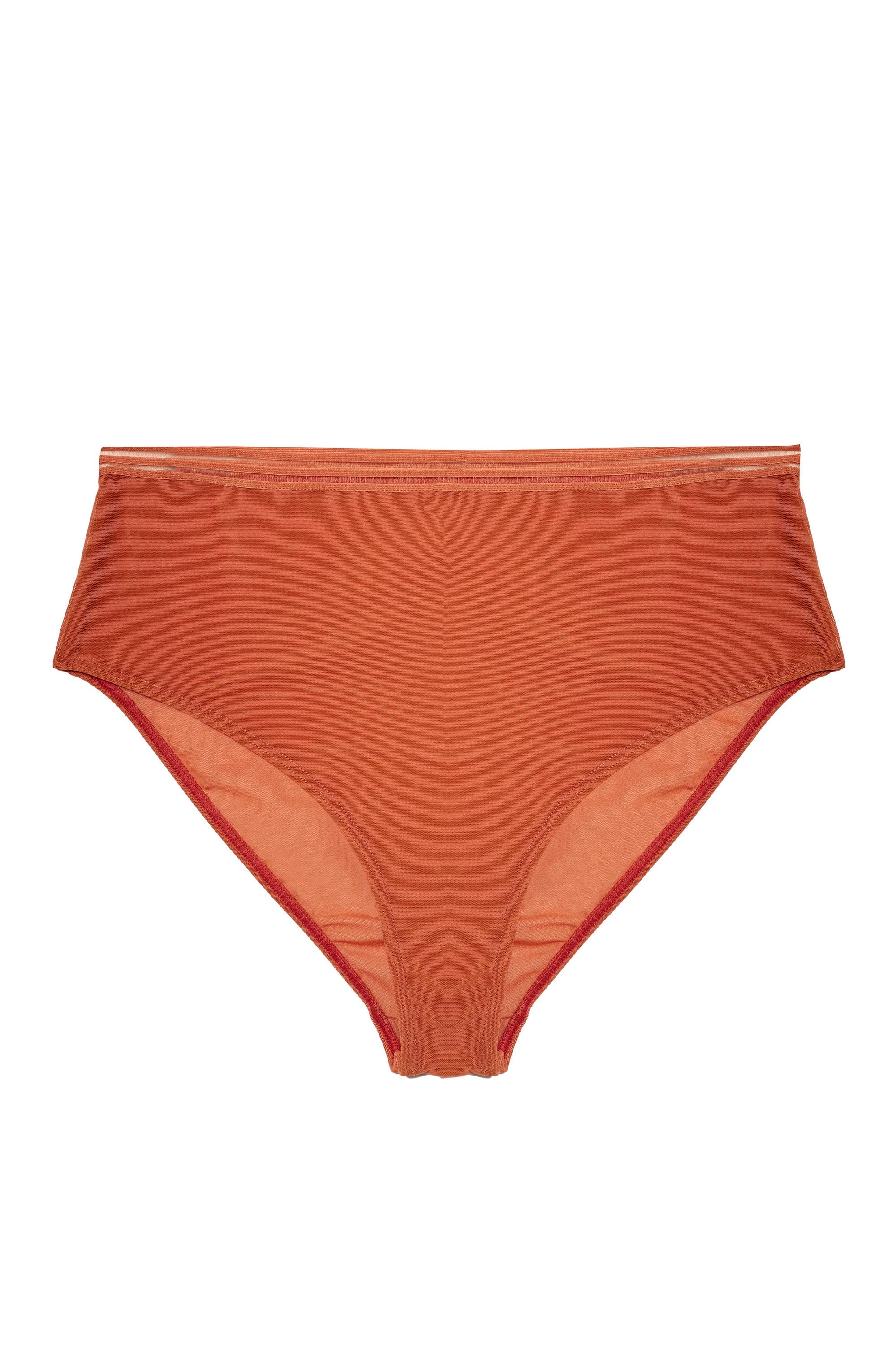 Chelsea Cinnamon Mesh Highwaist Brief - Image 7