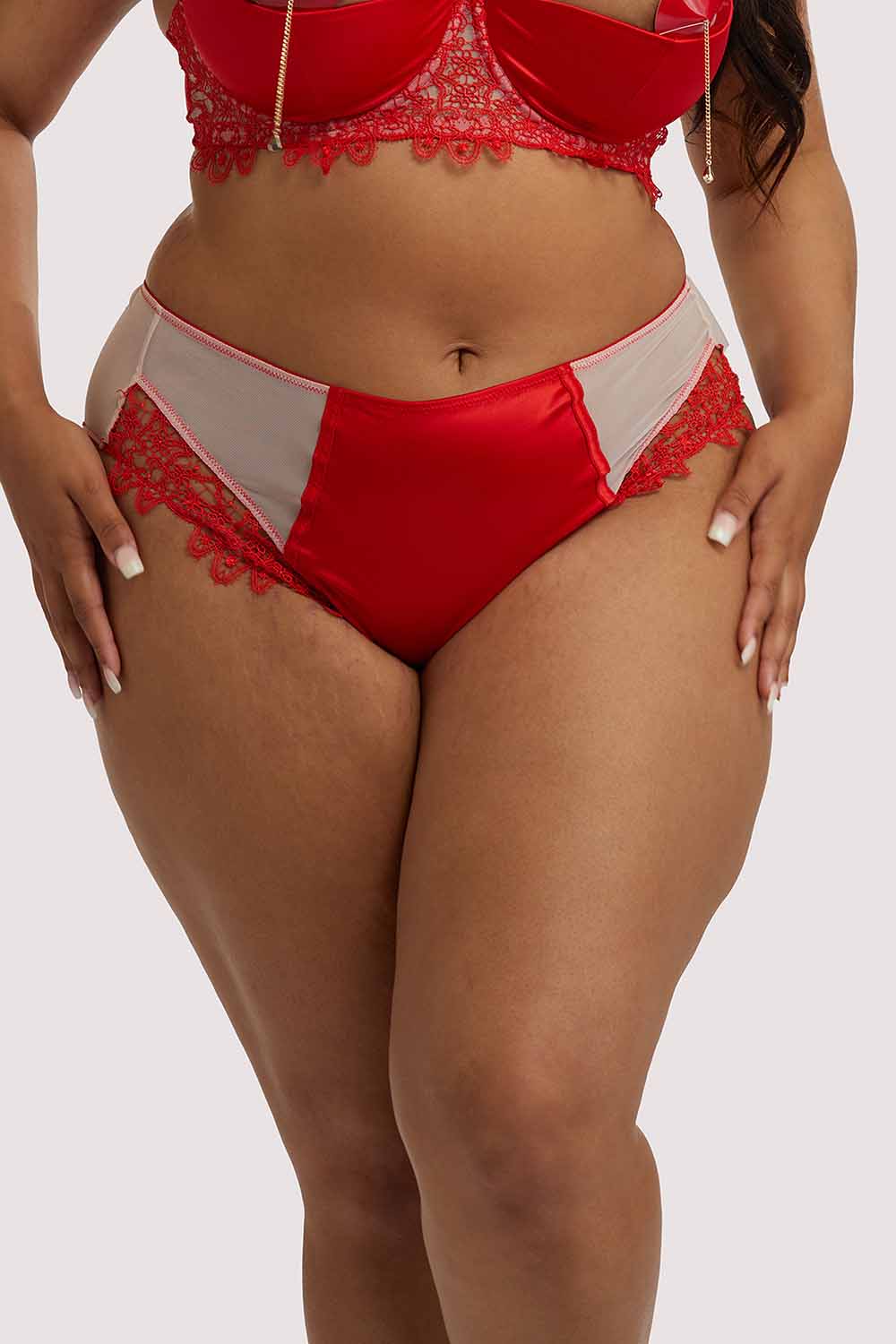 Anaise Red Highwaist Brief - Image 3