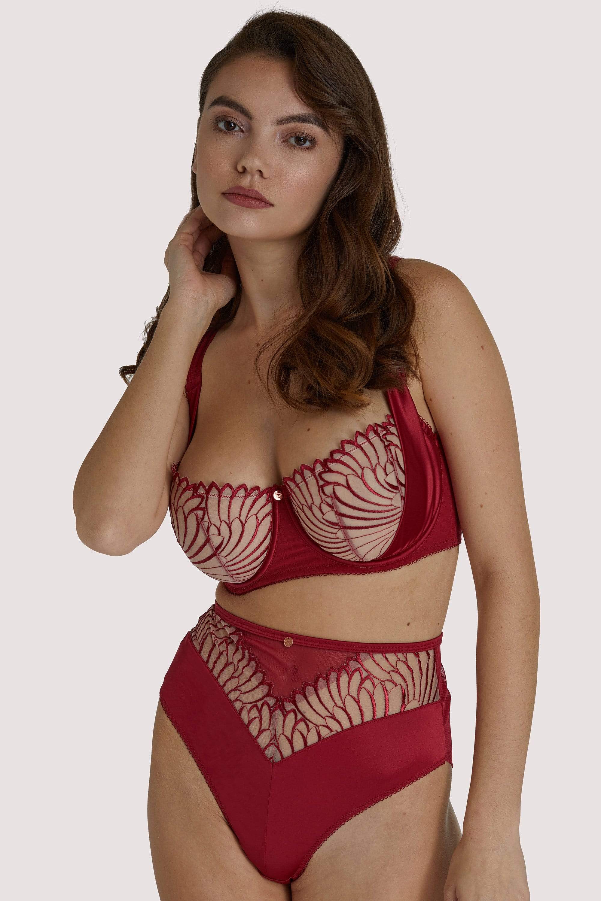 Fallen Angel Red High Waist Brief - Image 3