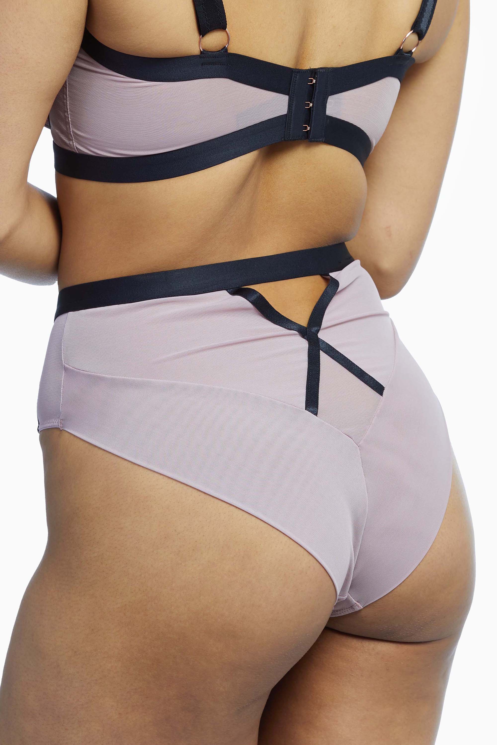 Sheer Chic High Waist Brief - Image 2