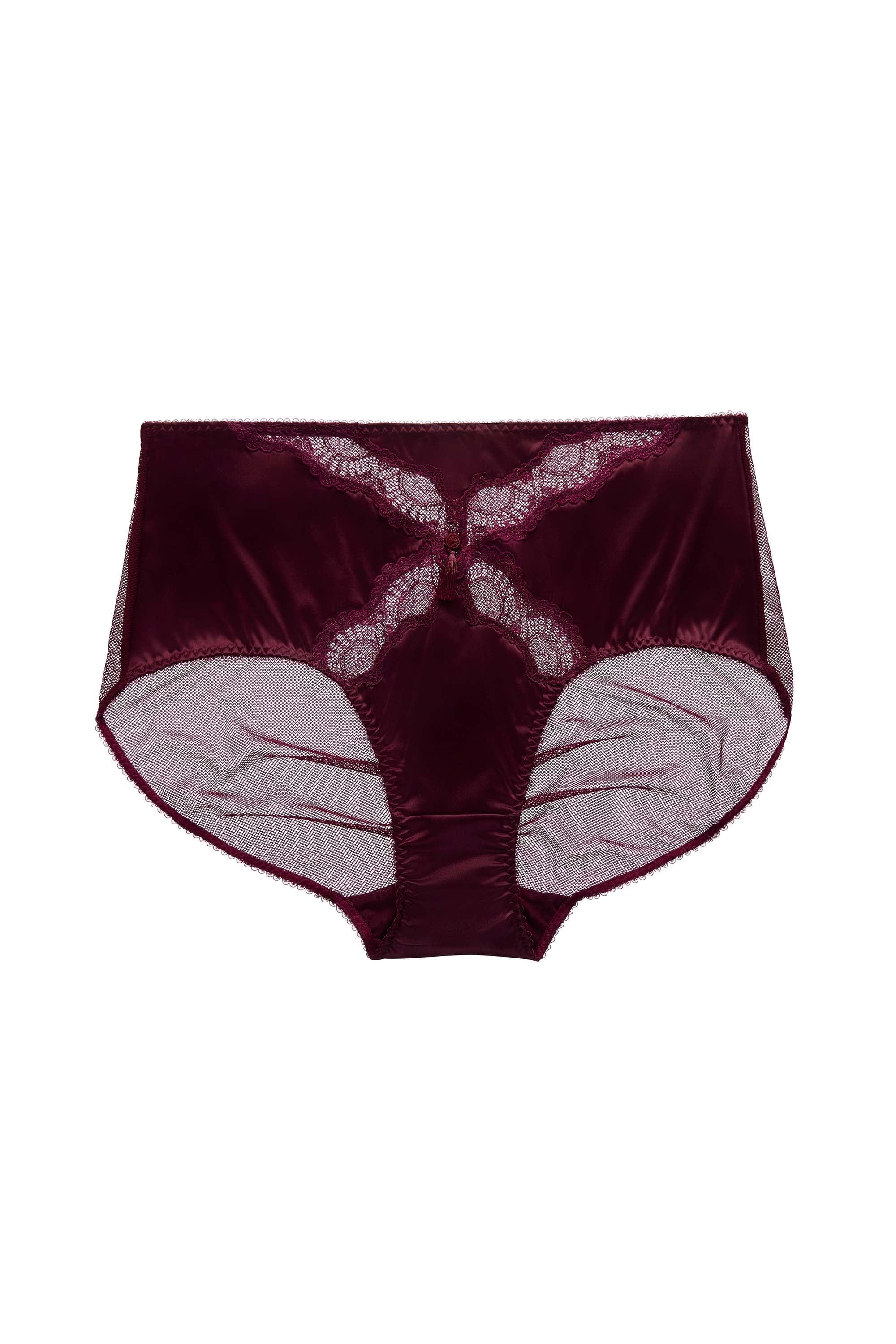 Star Lift Plum High Waisted Brief - Image 3