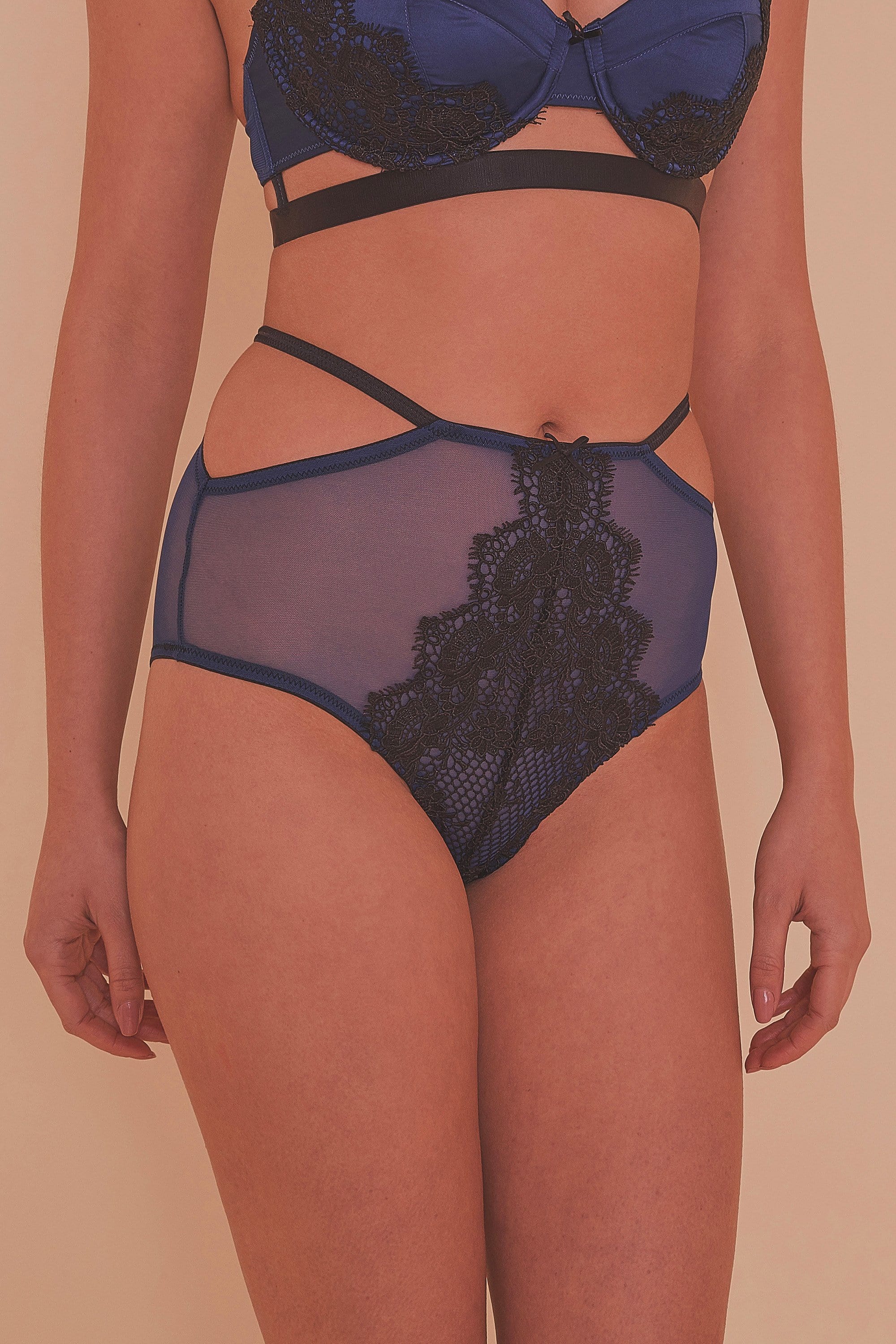 Tabitha Blue Embroidery HW Brief