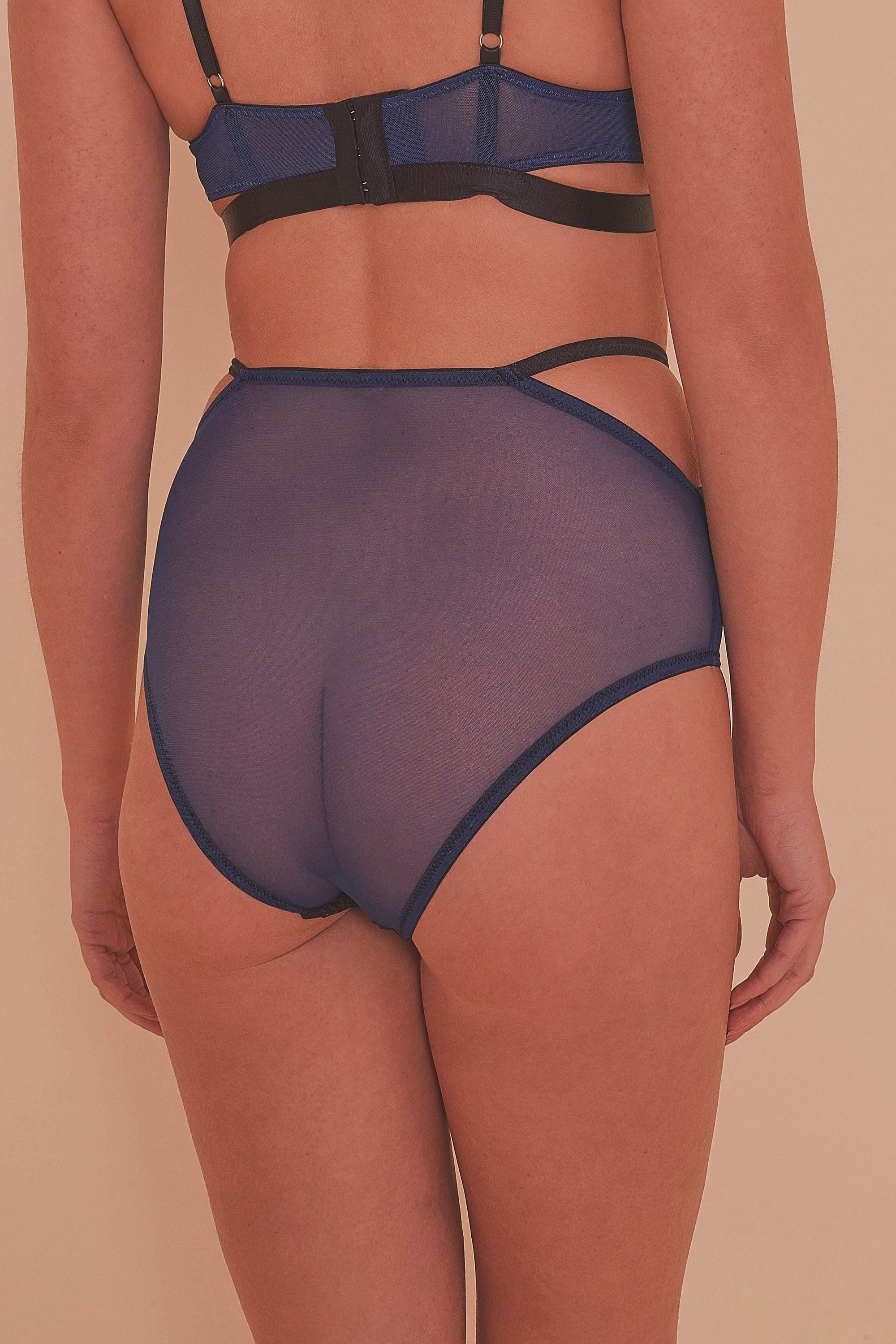 Tabitha Blue Embroidery HW Brief - Image 3