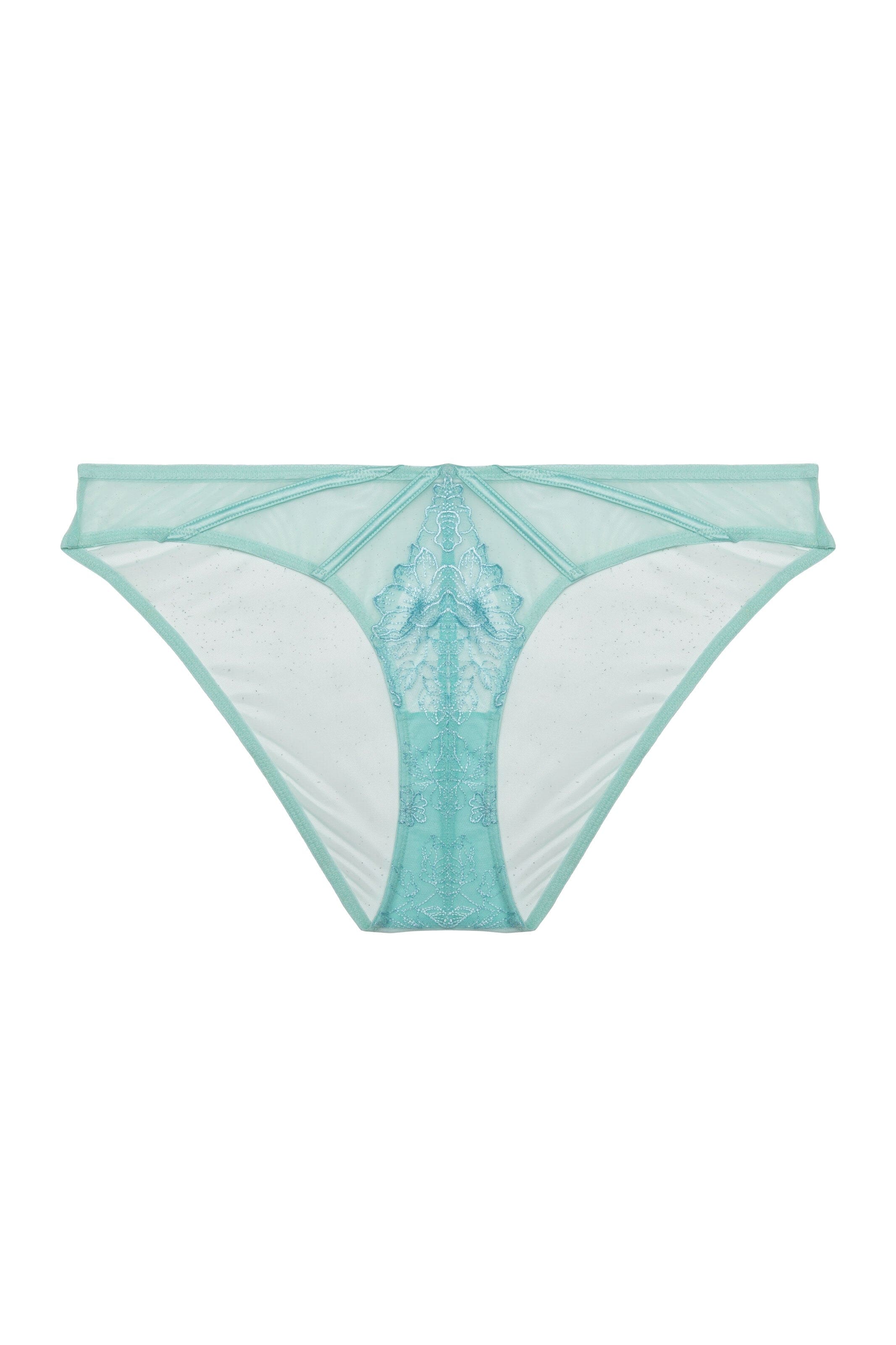 Valerie Aqua Embroidery & Mesh Brief - Image 8
