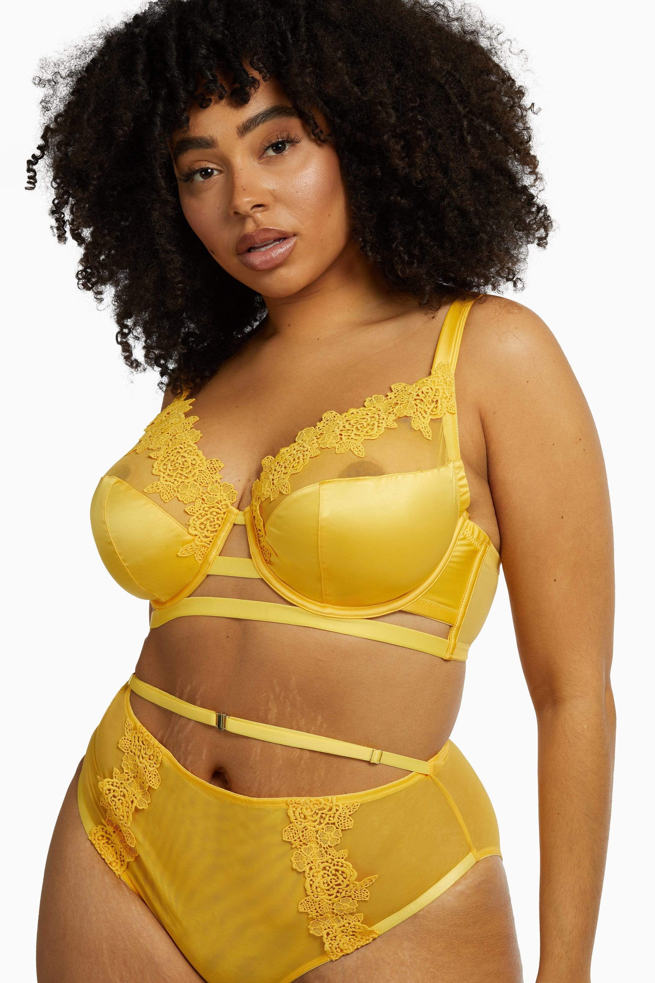 Vivienne Mustard Net Satin and Lace Trim Bra - Image 12