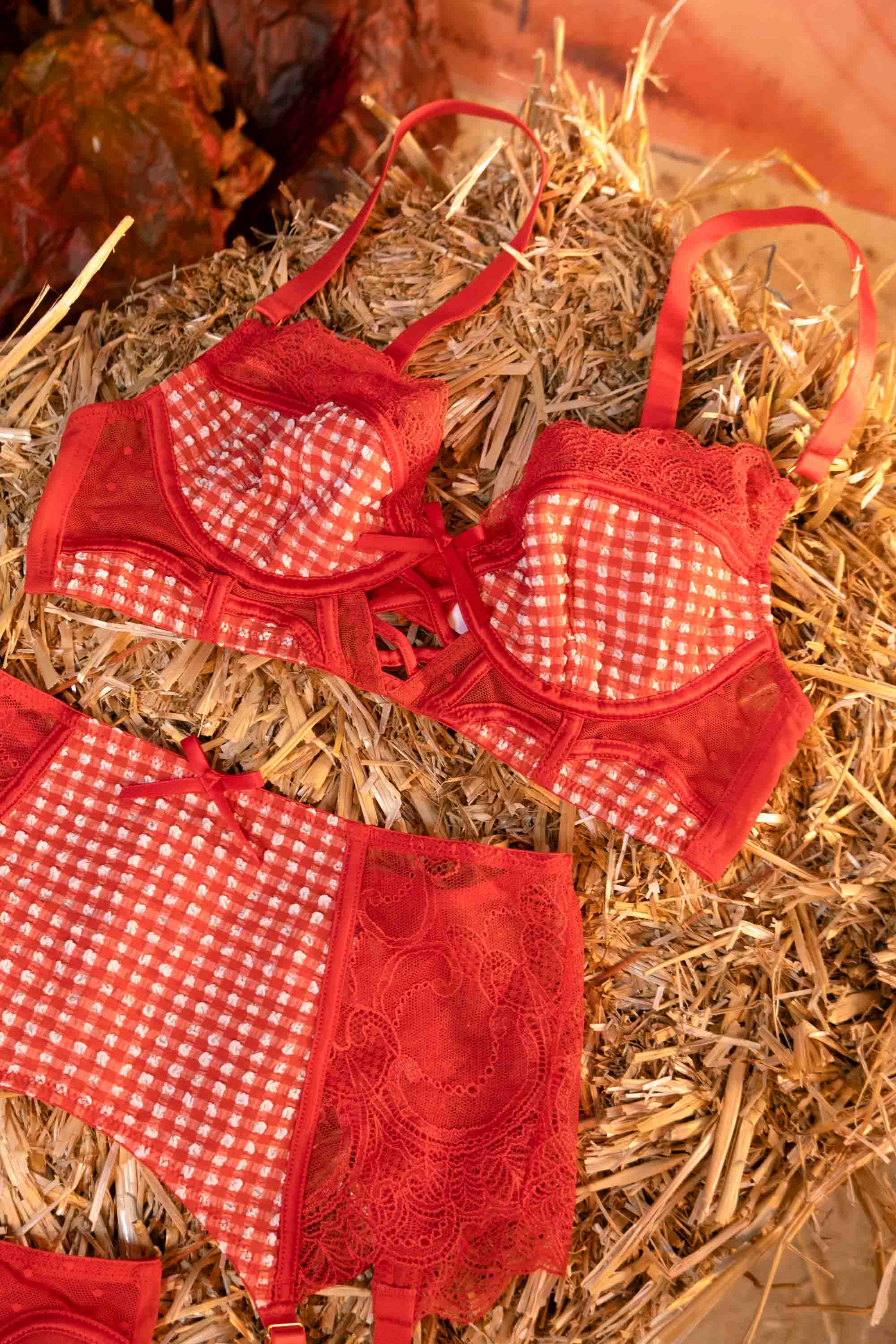Adelaide Western Gingham And Lace Bra - Image 3