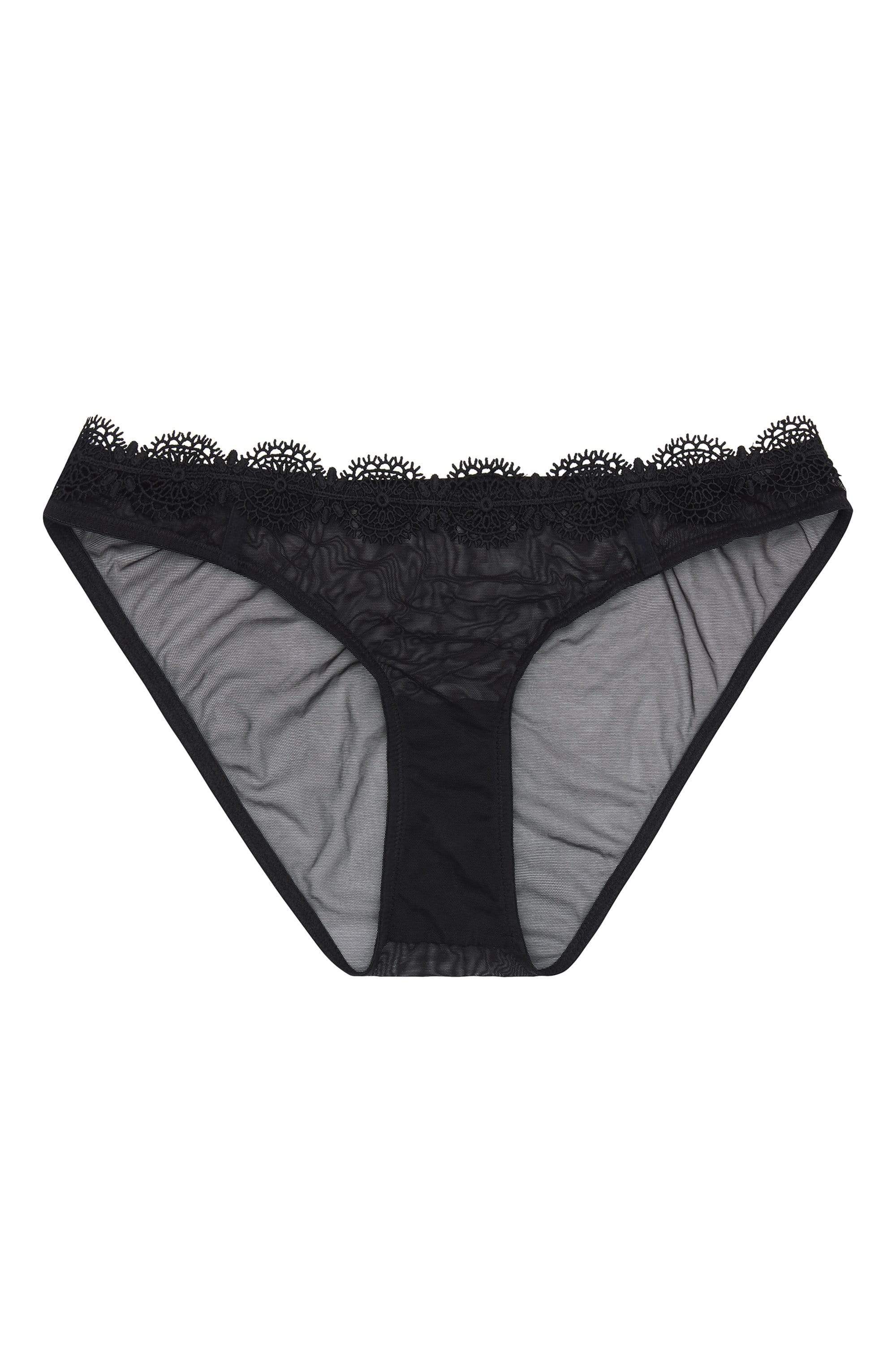 WW x Charlotte McKinney Astrid Mesh and lace brief - Image 3