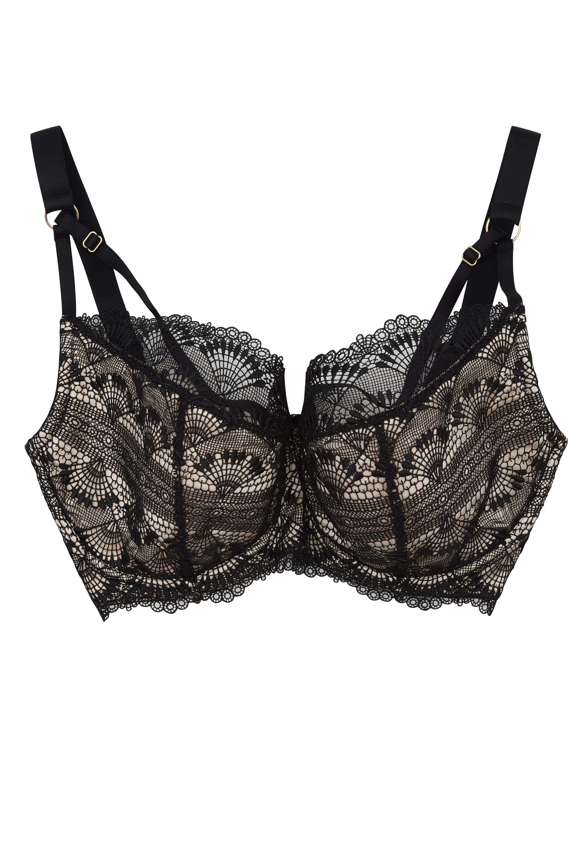 Ysabel Full Bust Lace Bra DD/E - I - Image 2