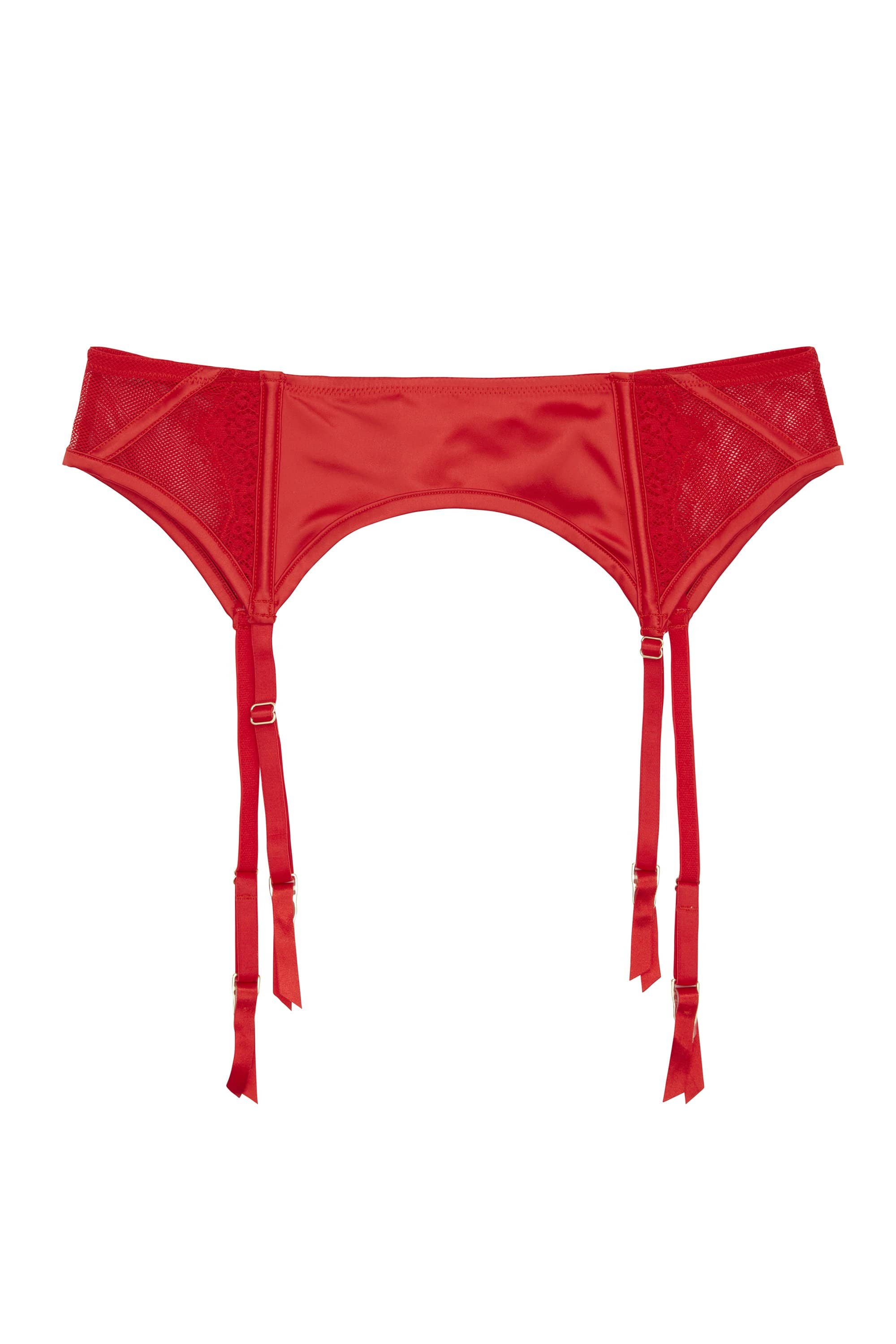 Zoya Curve Fishnet & Lace Suspender - Image 2