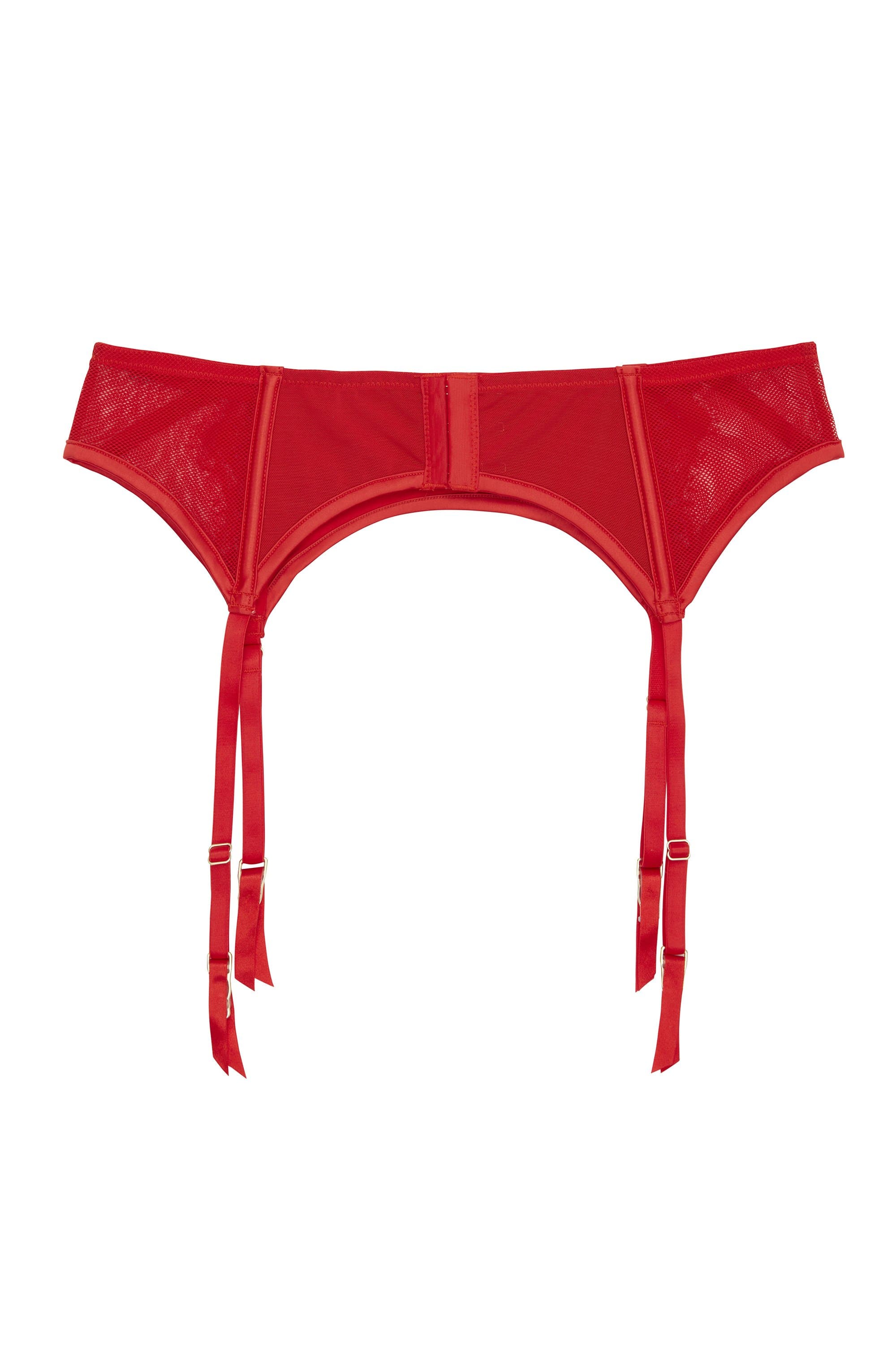 Zoya Curve Fishnet & Lace Suspender - Image 3