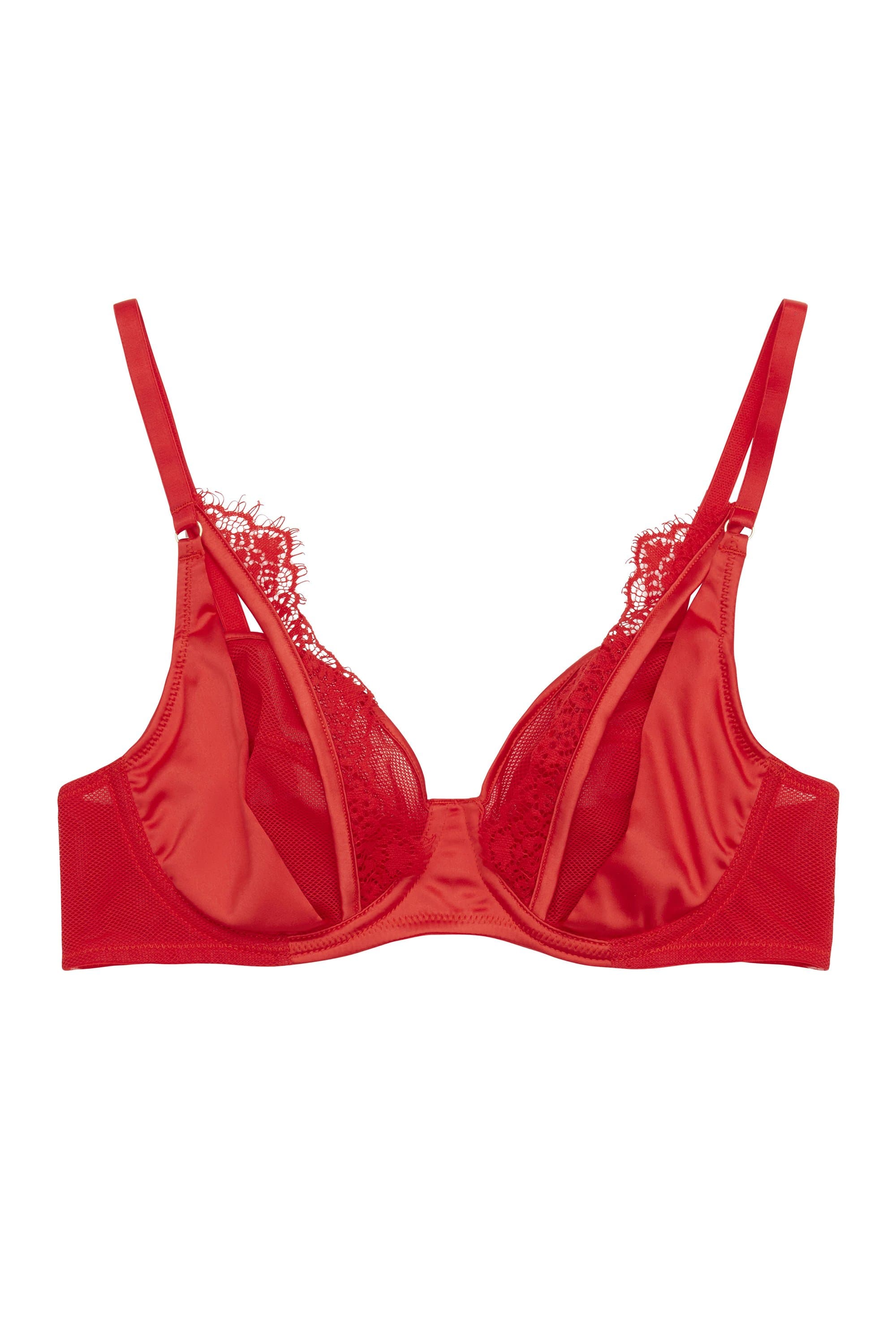 Zoya Full Bust Fishnet and Lace Plunge Bra DD/E - I - Image 2